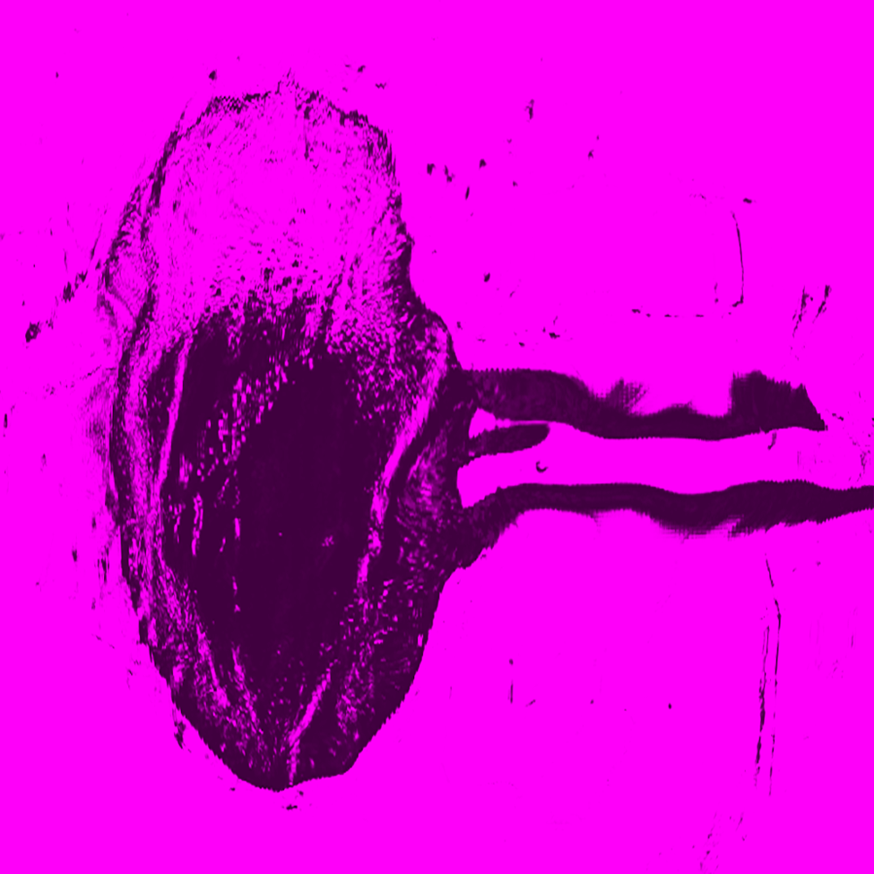 IMPERMANENCE, MAGENTA