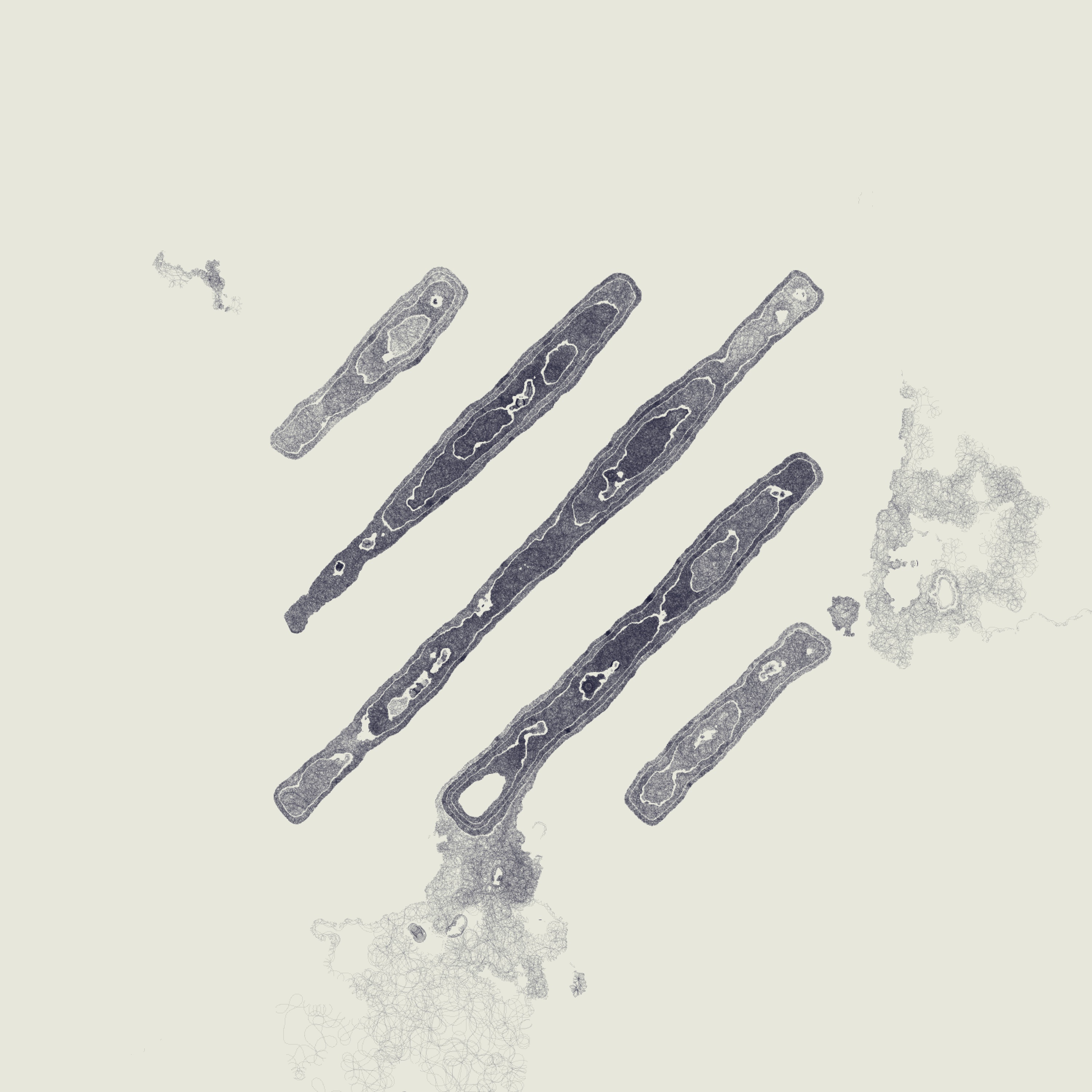 Decal by Kjetil Golid #92