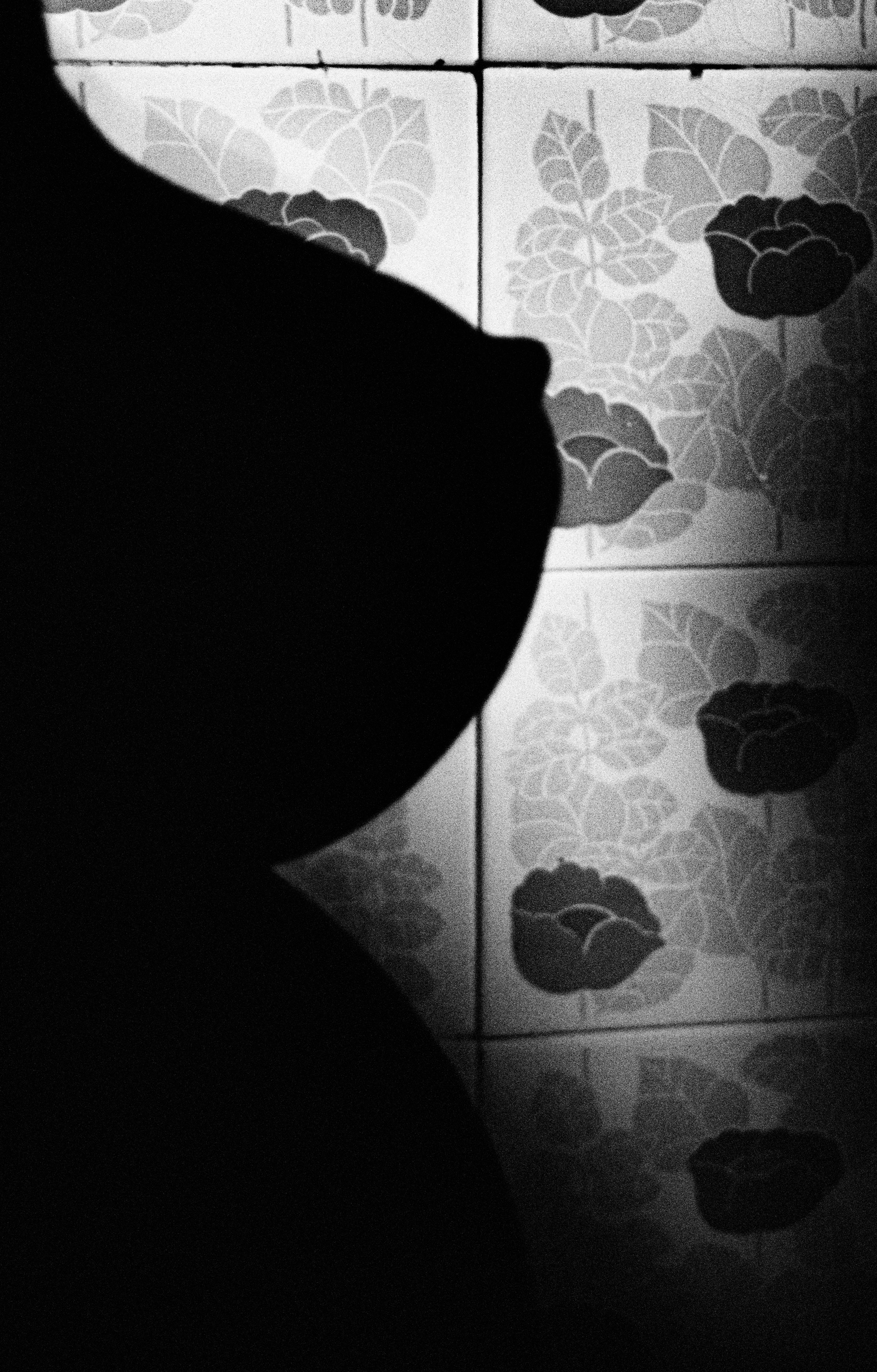 Shadowplay #7 - Deborah & Alice