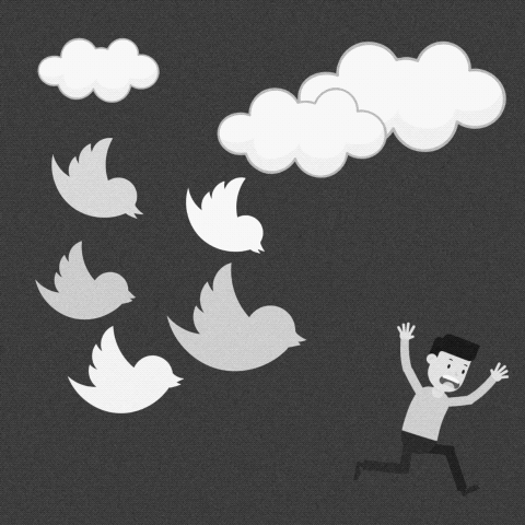 Tweet Tweet (”The Birds” version)