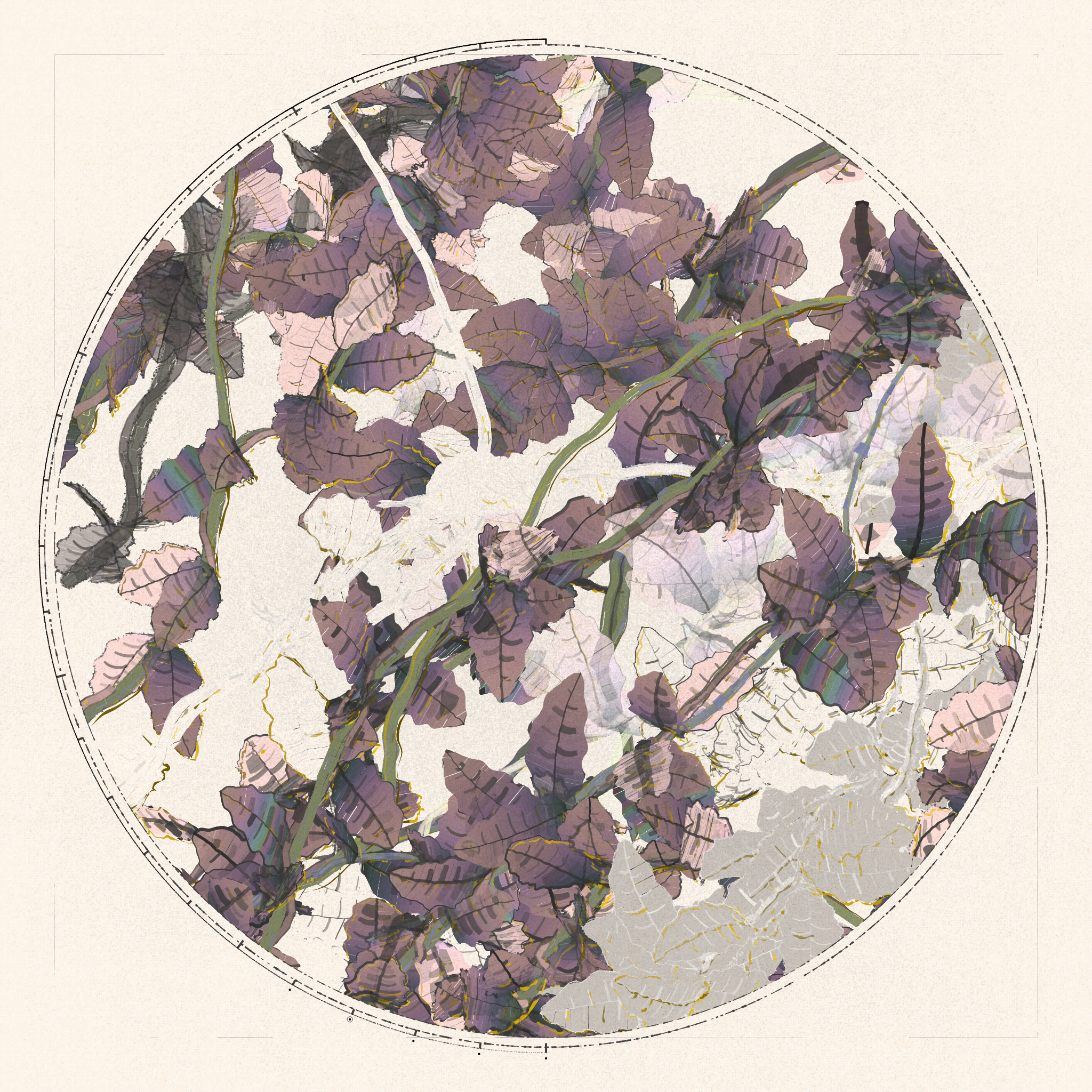 Polypaths | 植徑集 #455