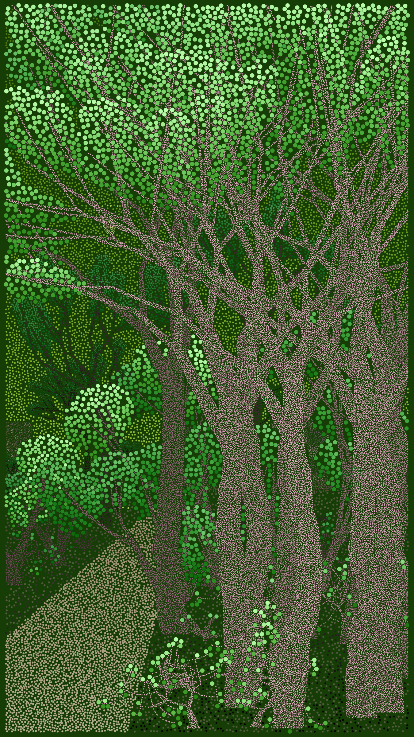 Bosque de Chapultepec #46