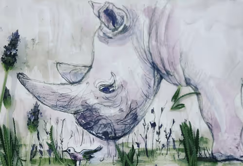 Rhinoceros