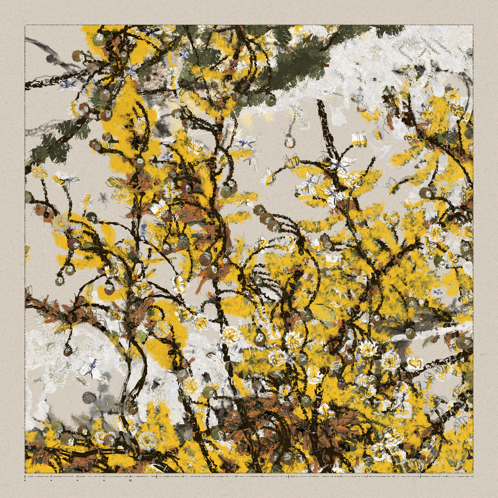 Polypaths | 植徑集 #313