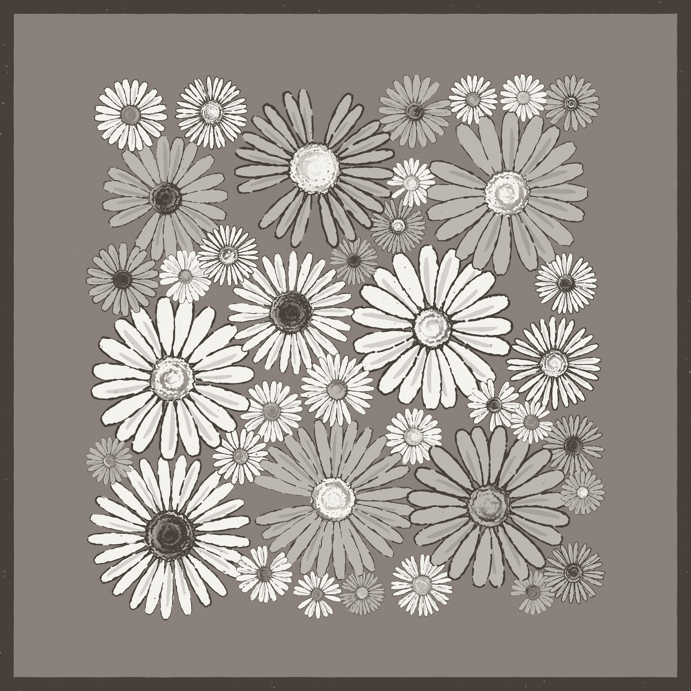 Daisies #170