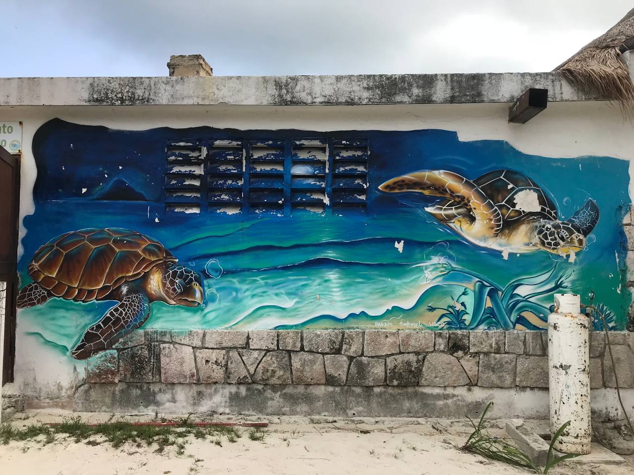 CS Community Collection #160