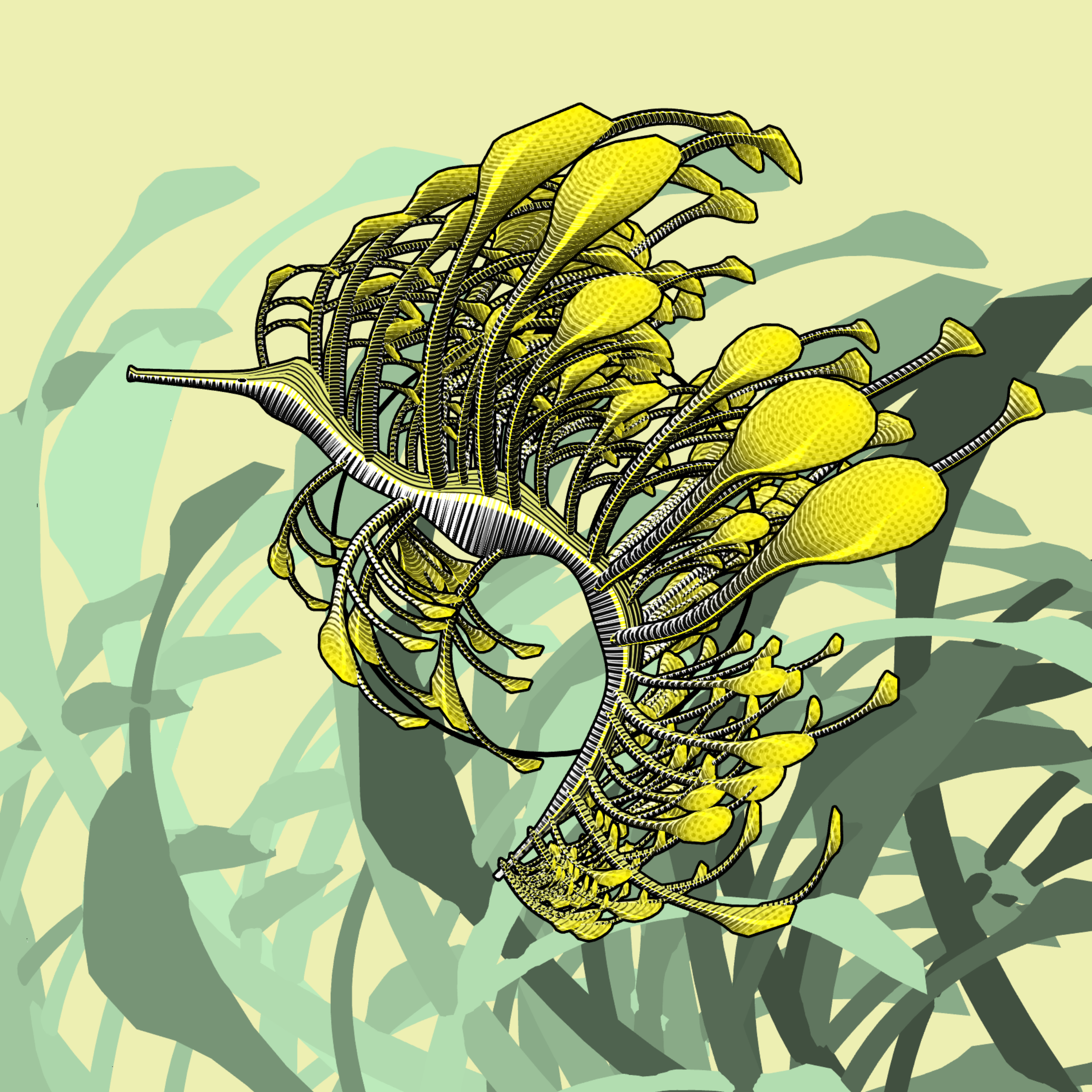 Seadragons #630