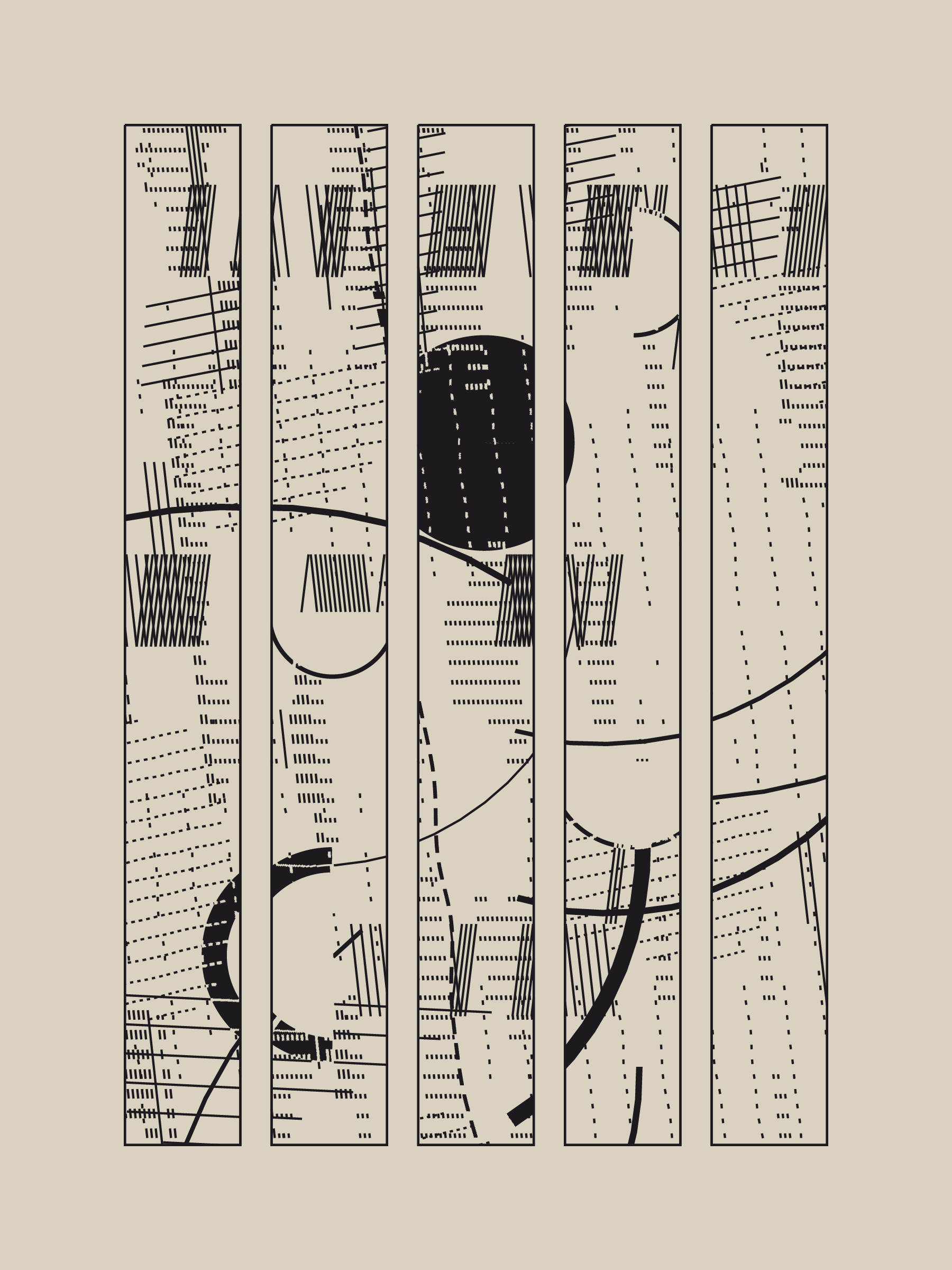 Delicate Chaos #53