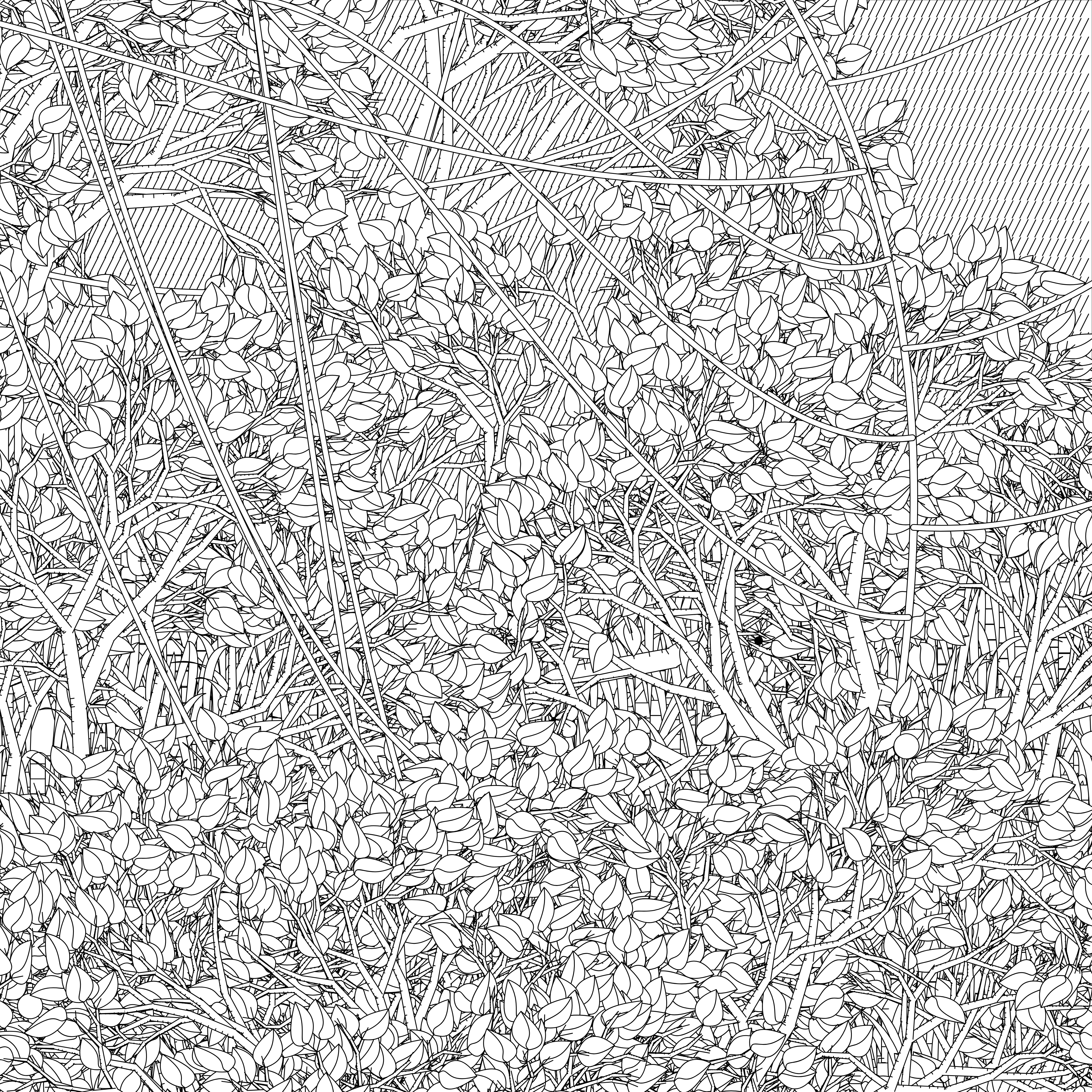 Entangled #92