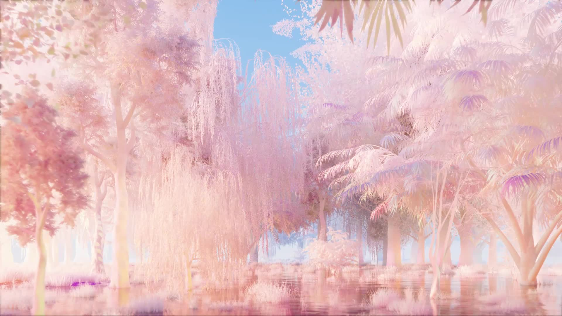 Landscape Transitions - Growth #4/12