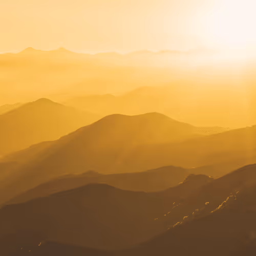 Golden Summer