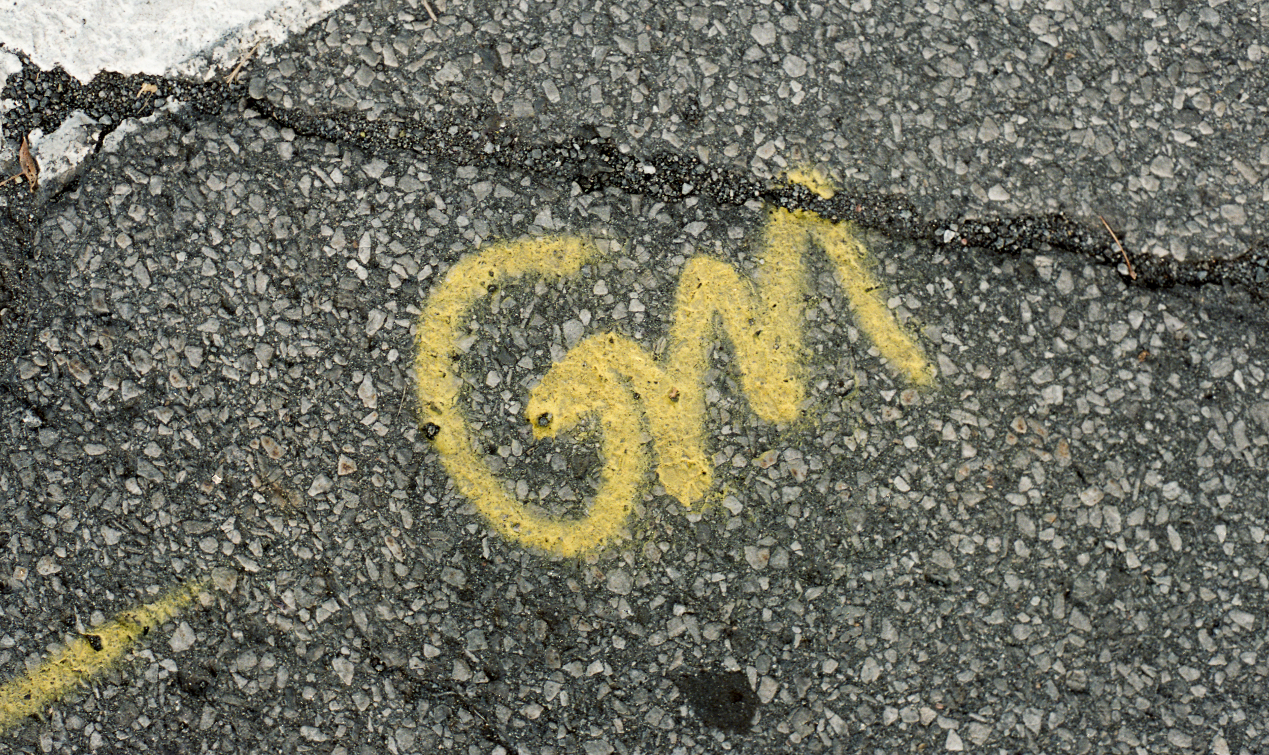 GM No. 2