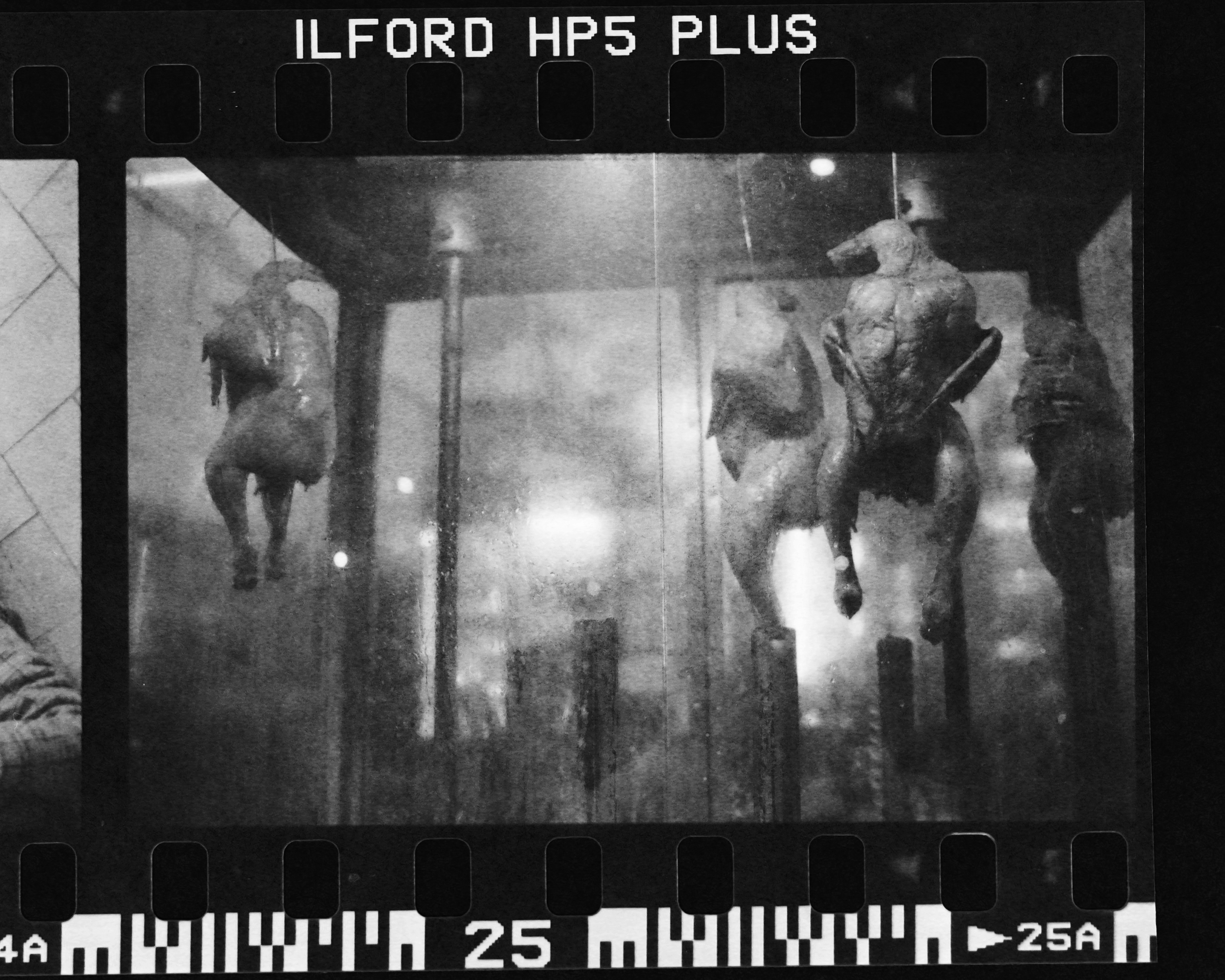 Iran #BW NO.11 #2010