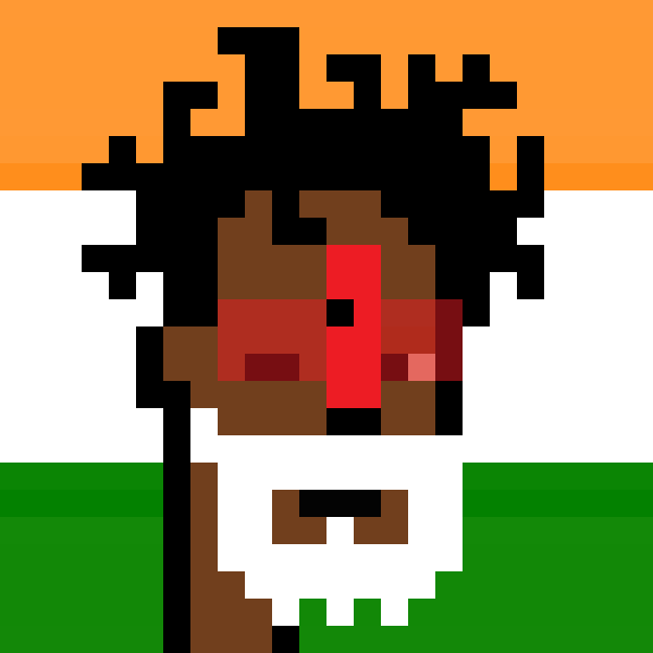 The Indian #5493