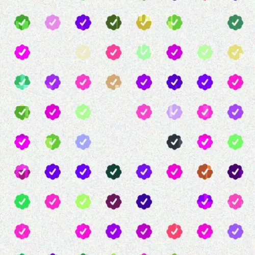 checks- 69 edition