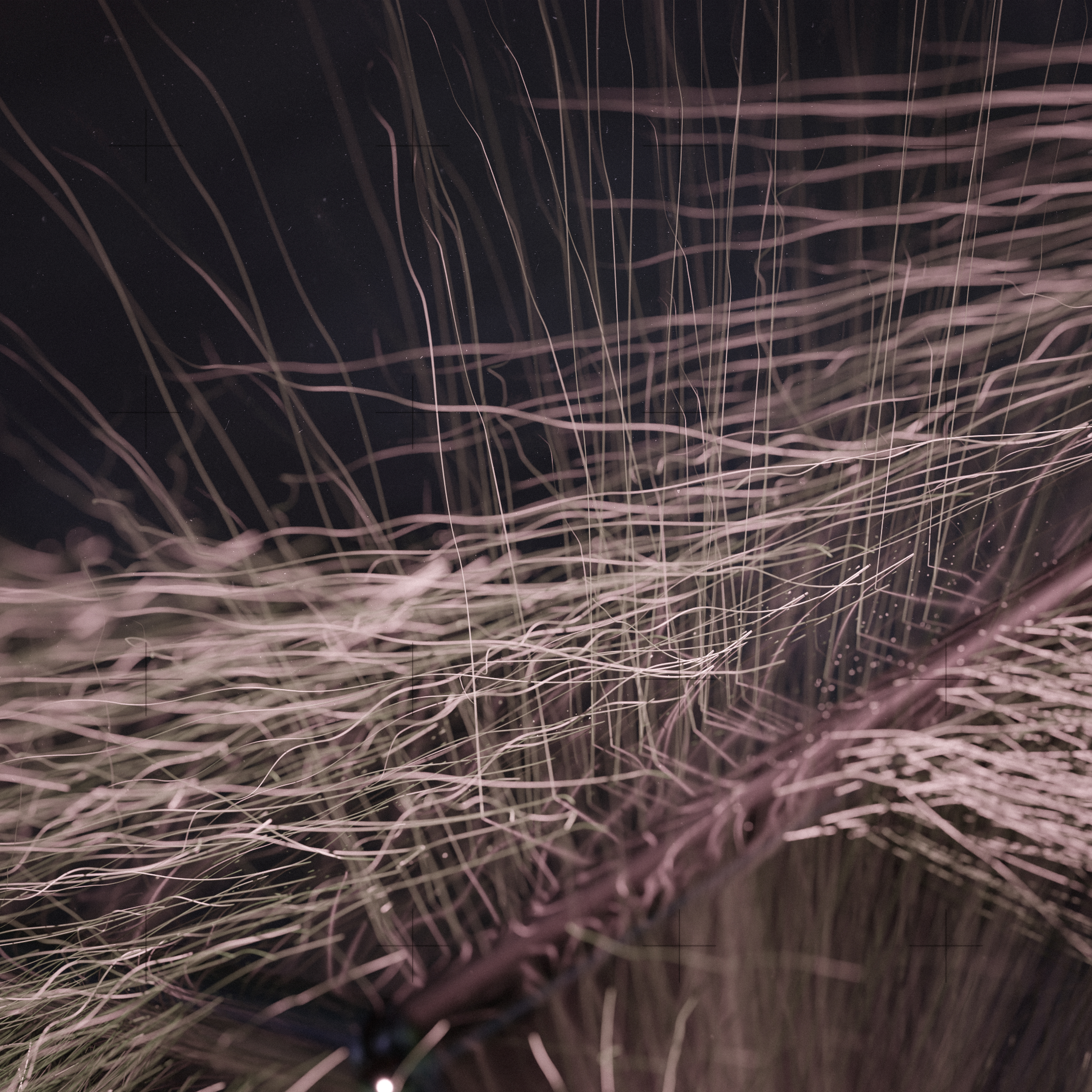 First Contact — 03