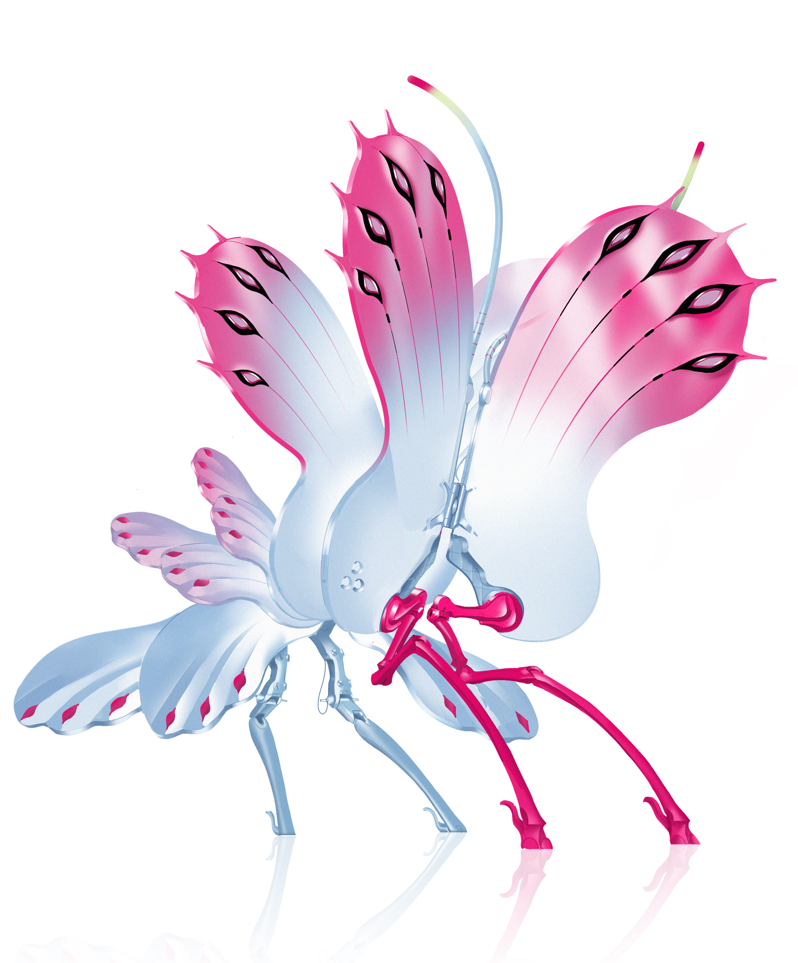 Butflyter 丨 鰗牃