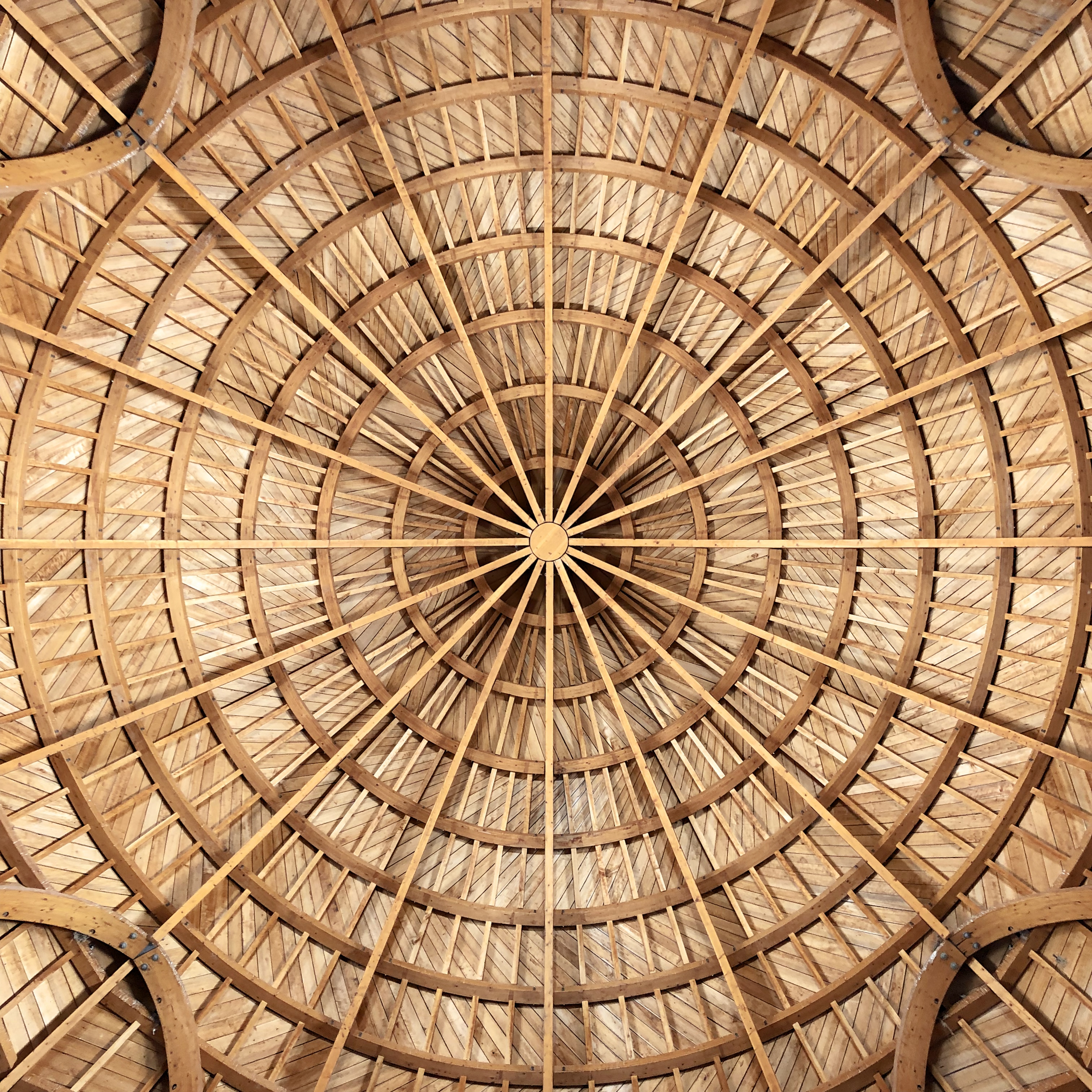 CS Community Collection #535