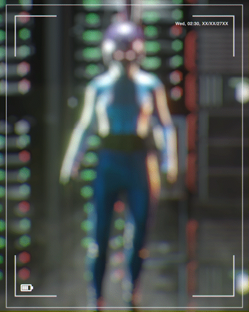 The First Link
