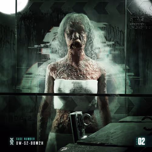 Stage 02: DW-S2-B8M2H