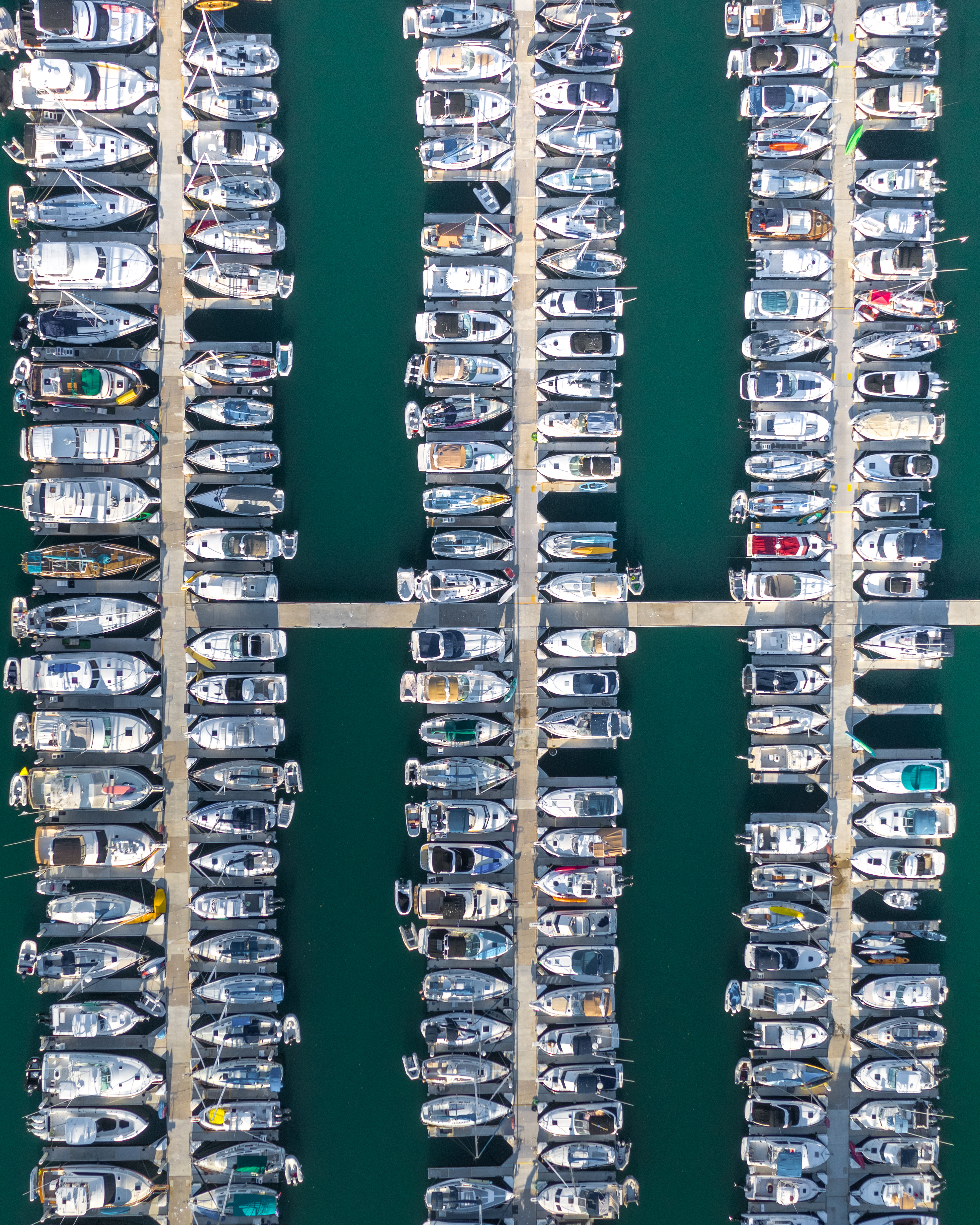 Marina Rows
