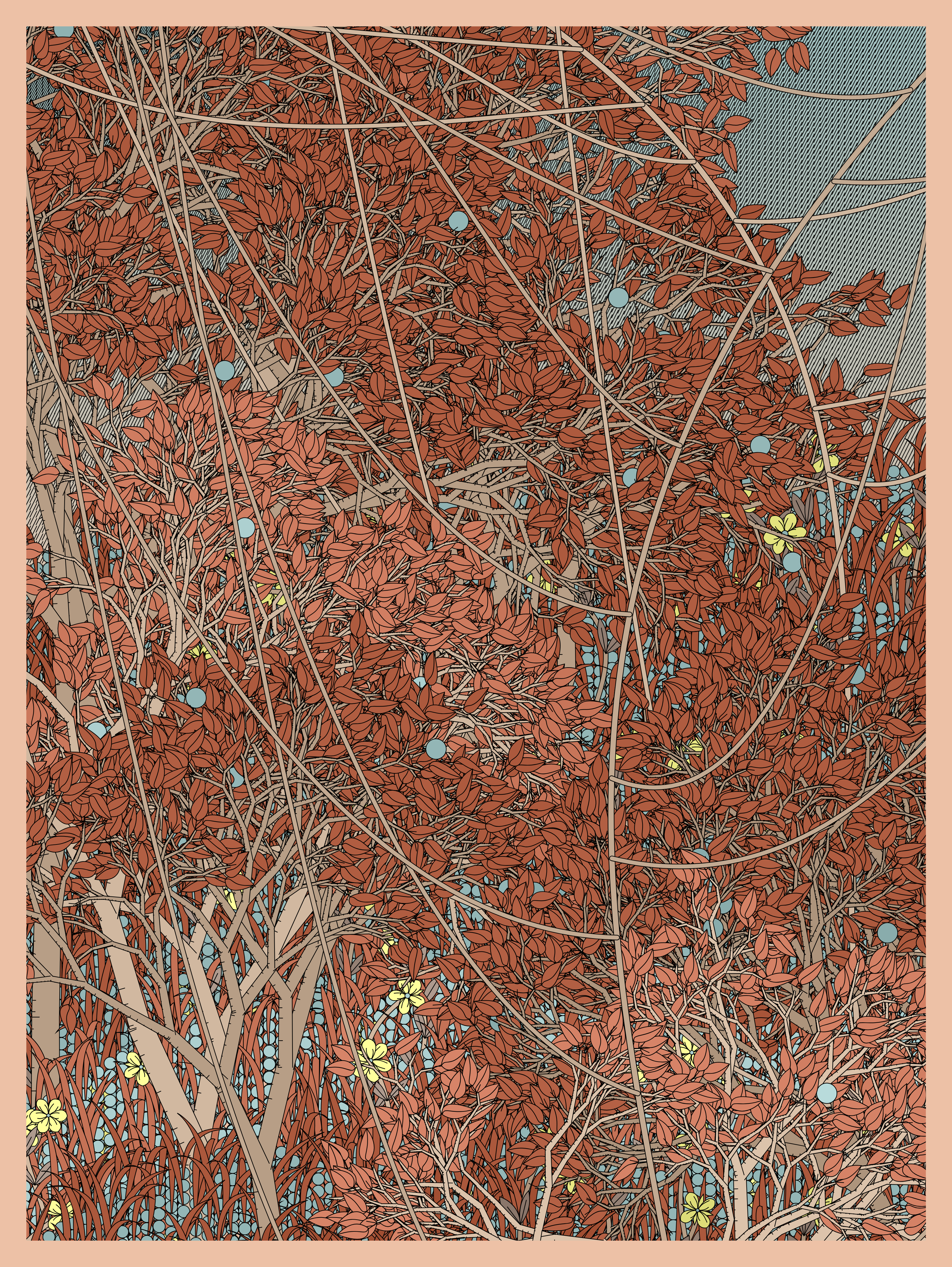 Entangled #468