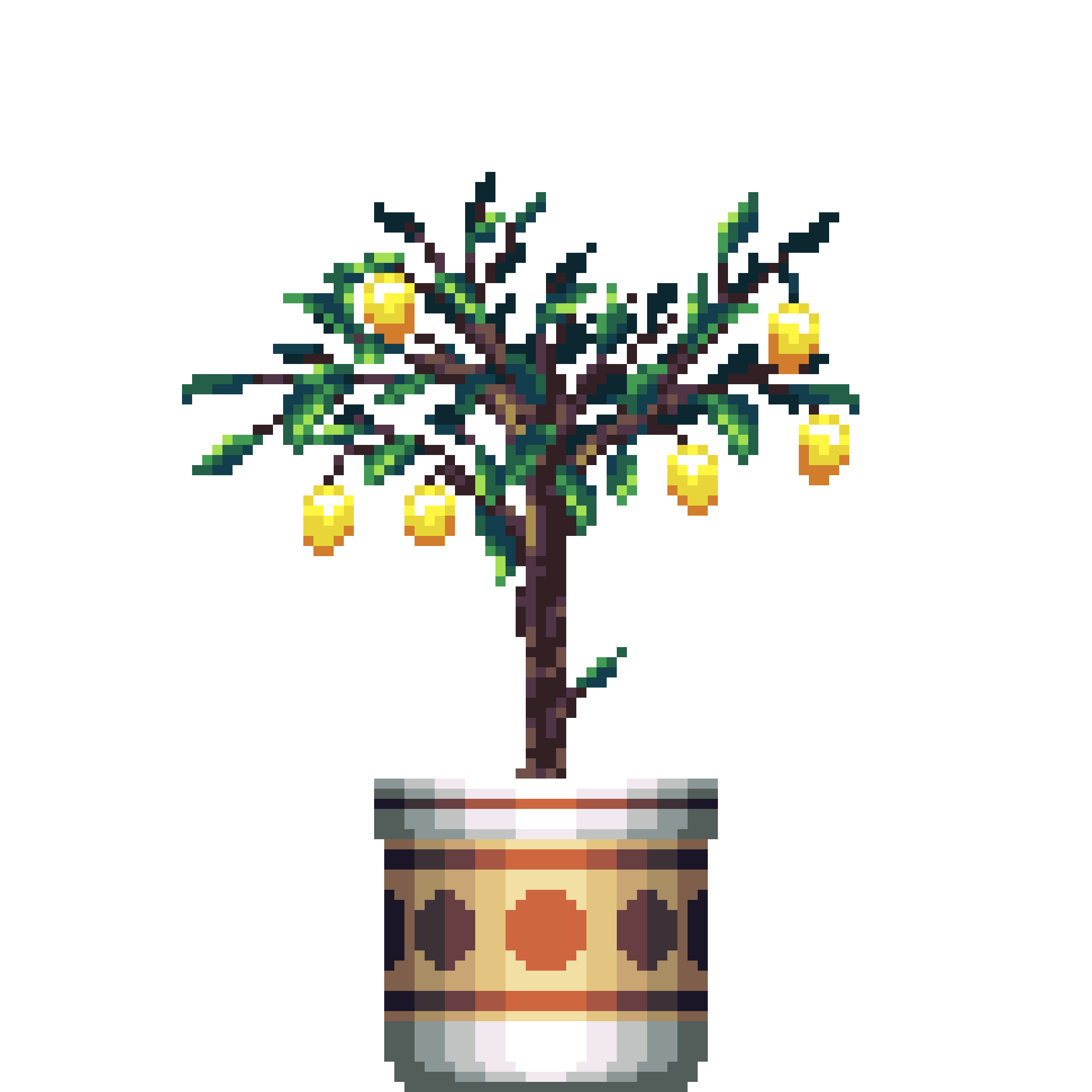 Lemon Tree in Large Premium Pattern pot