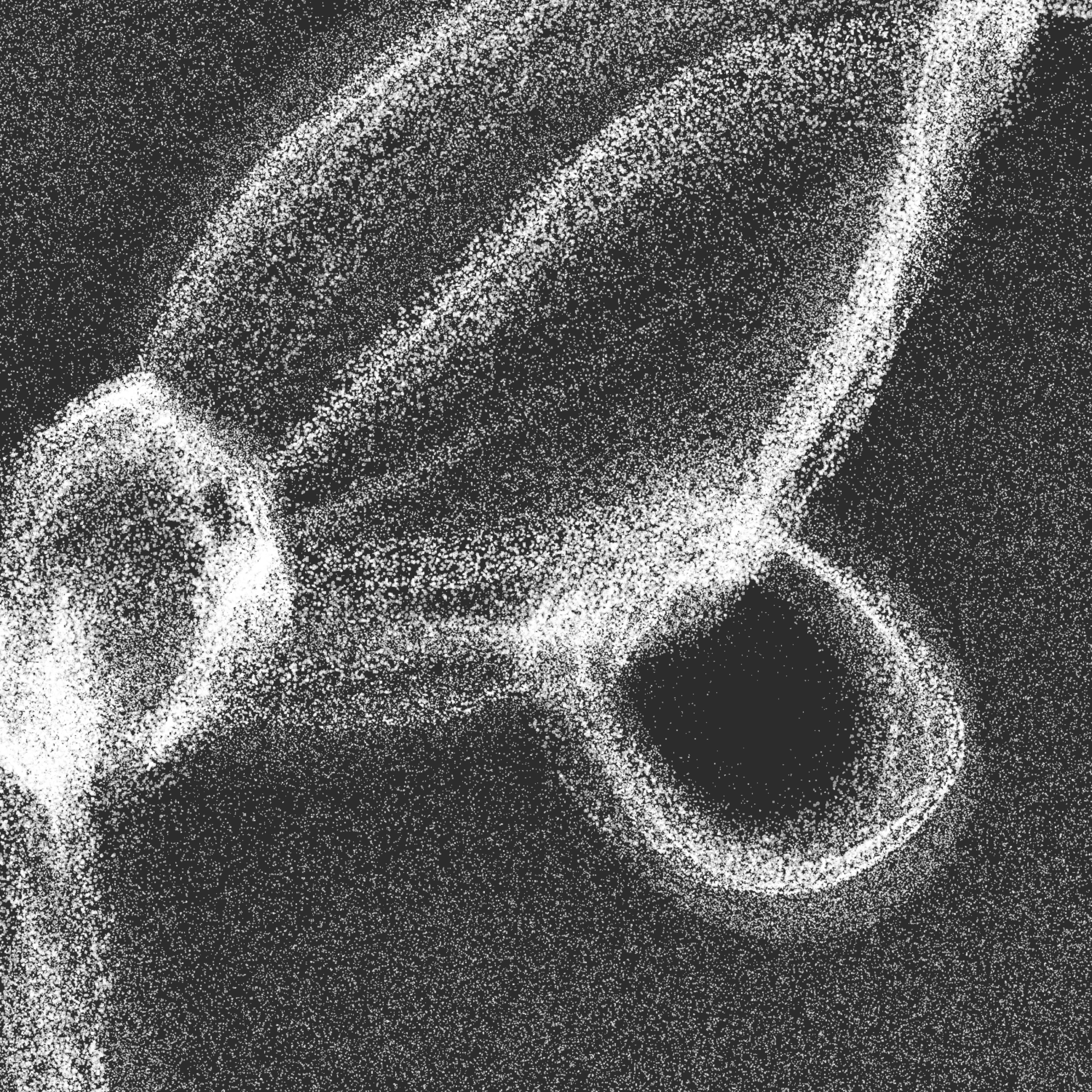 montreal friend scale #1