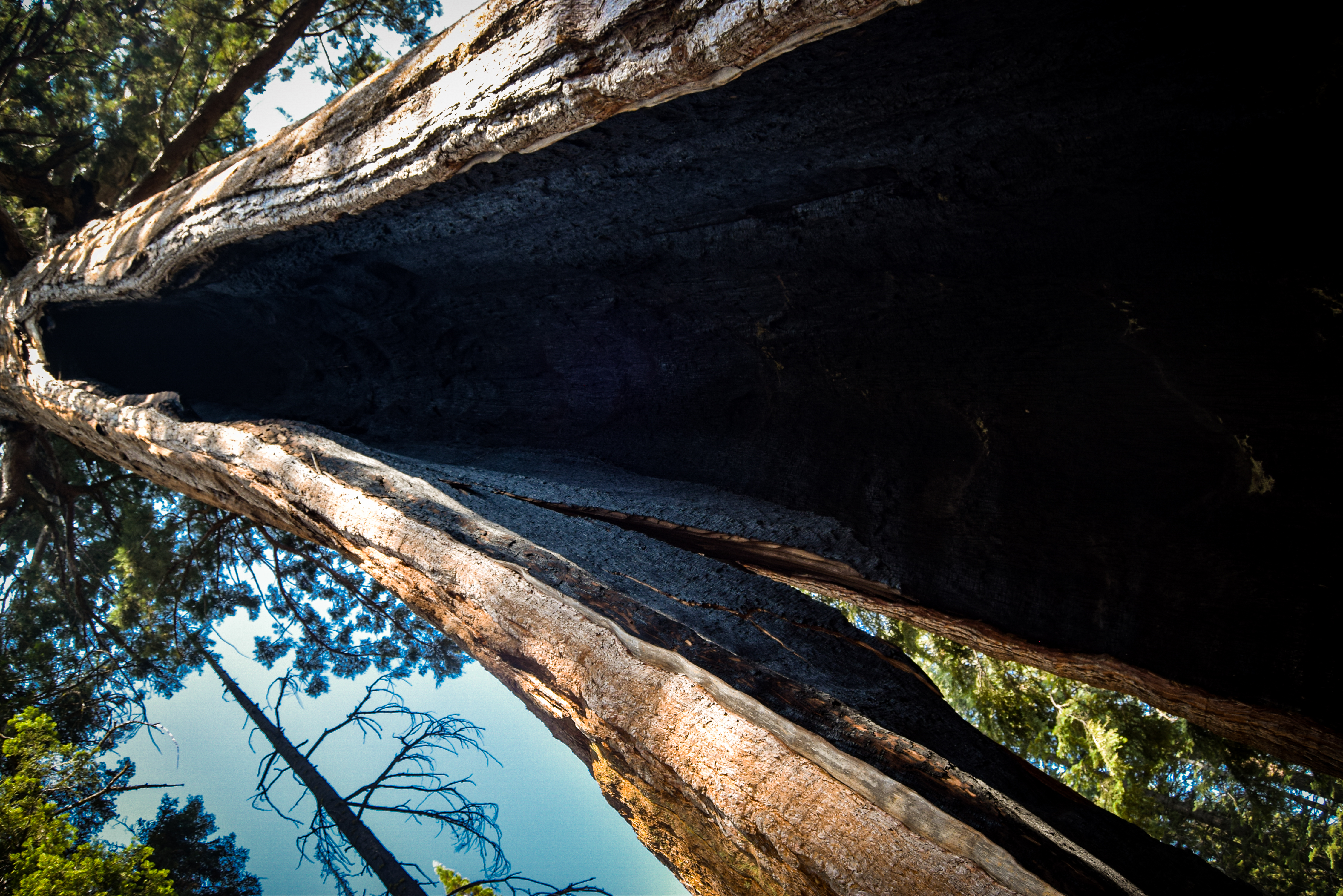 Strong despite inner darkness