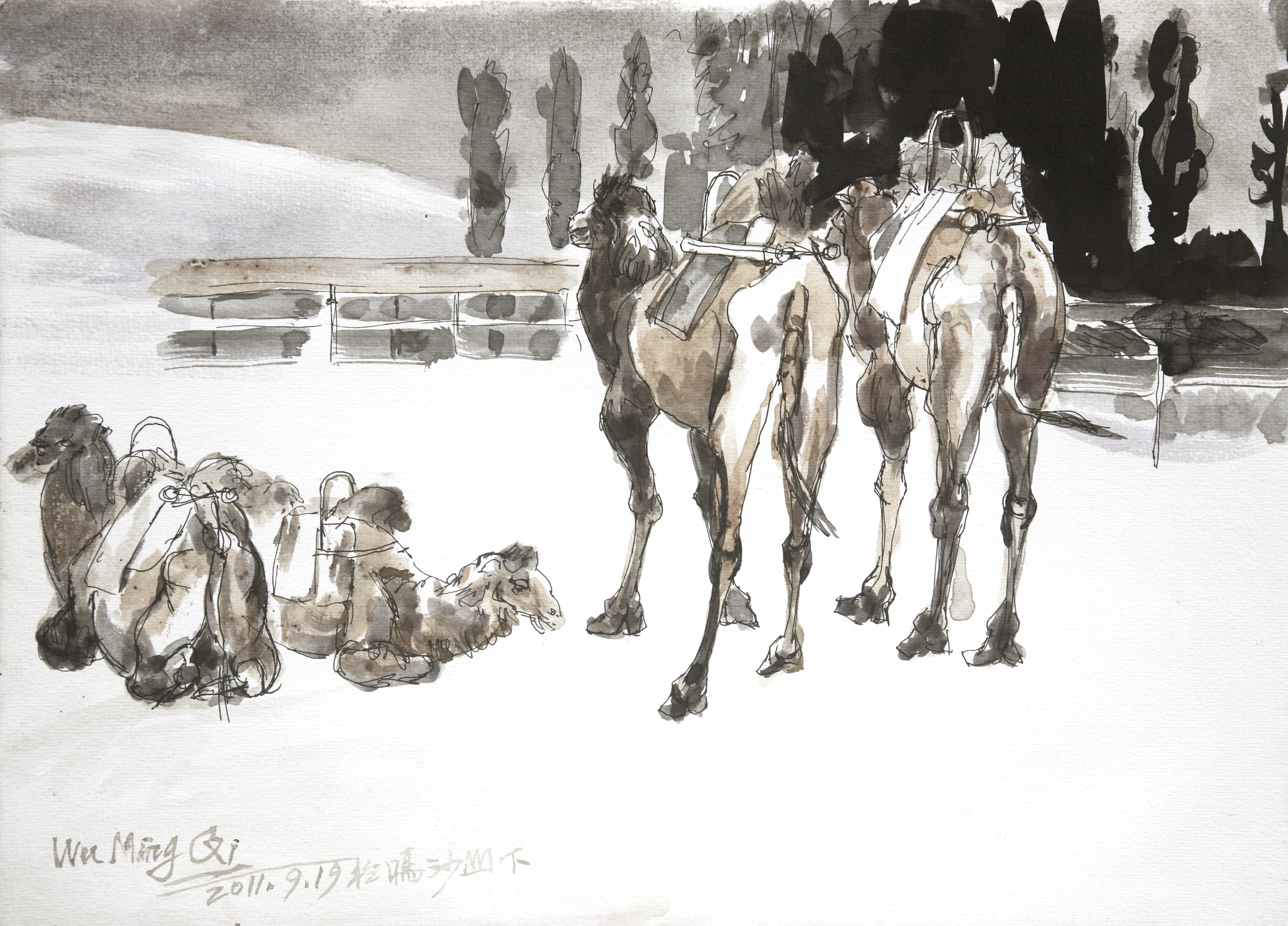 Camels of Mingsha Mountain