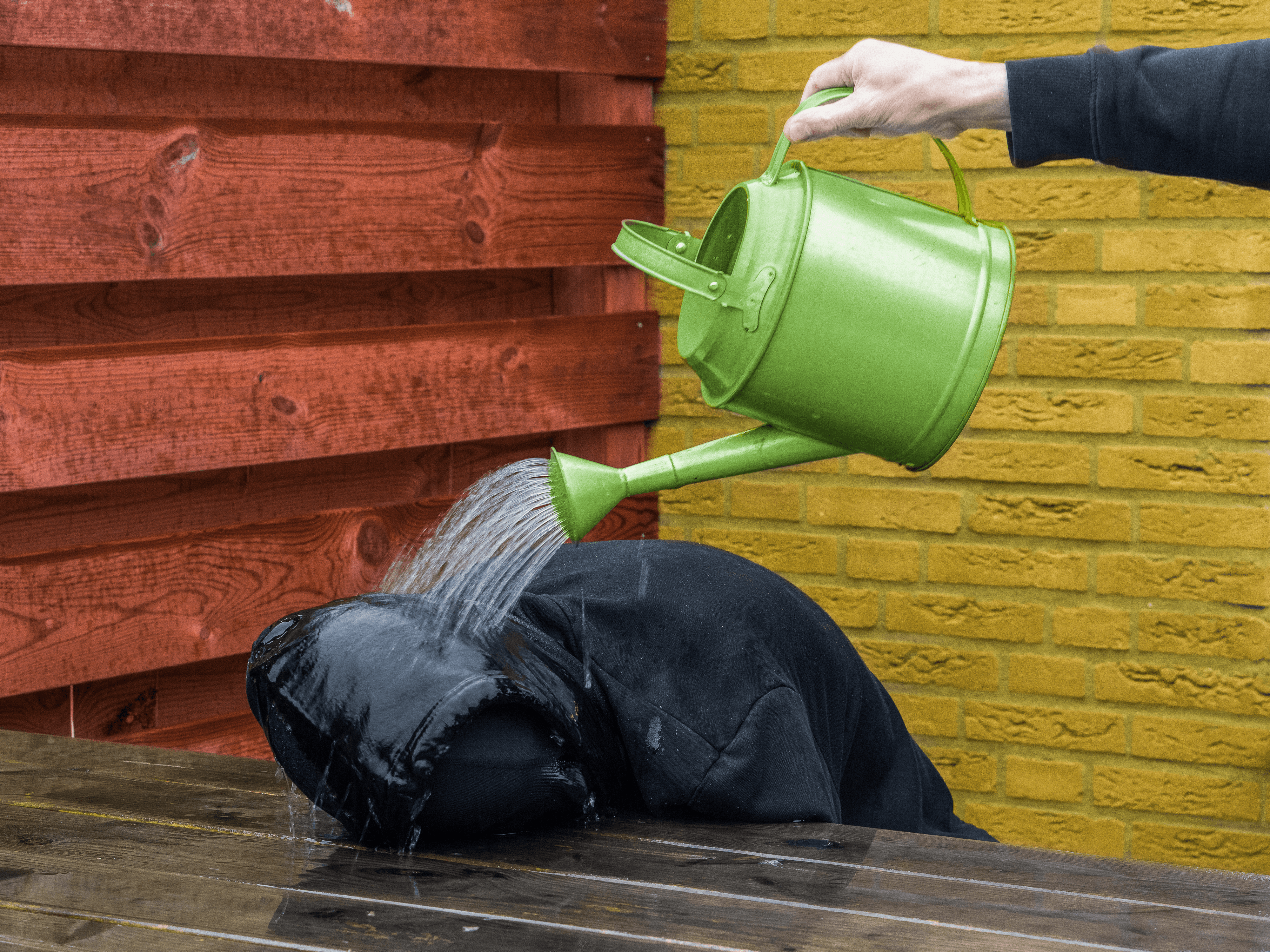 Nothing is Supposed to Make Sense #5