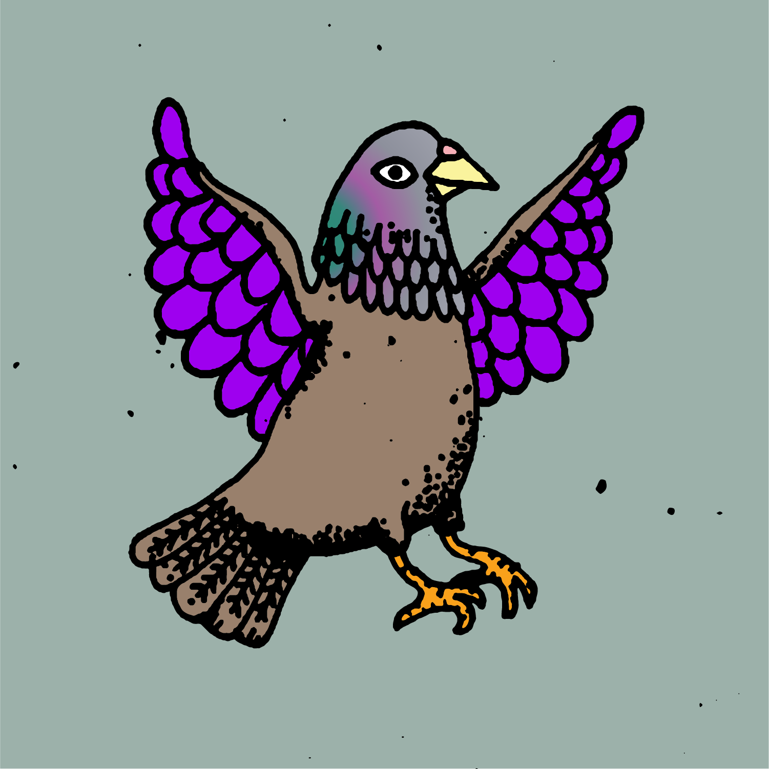Hood Pigeon #774