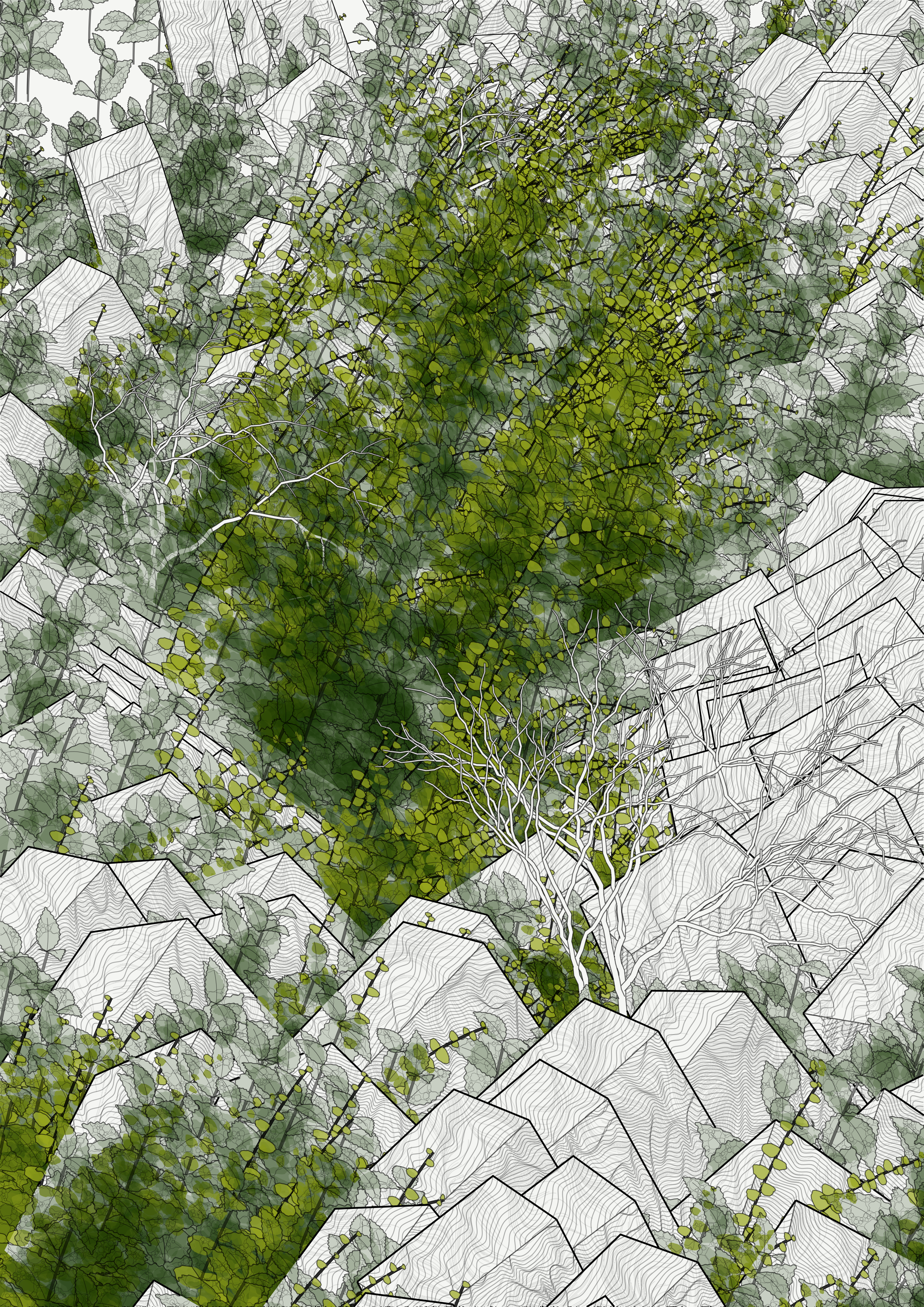 Lushtemples—Through the Blocks