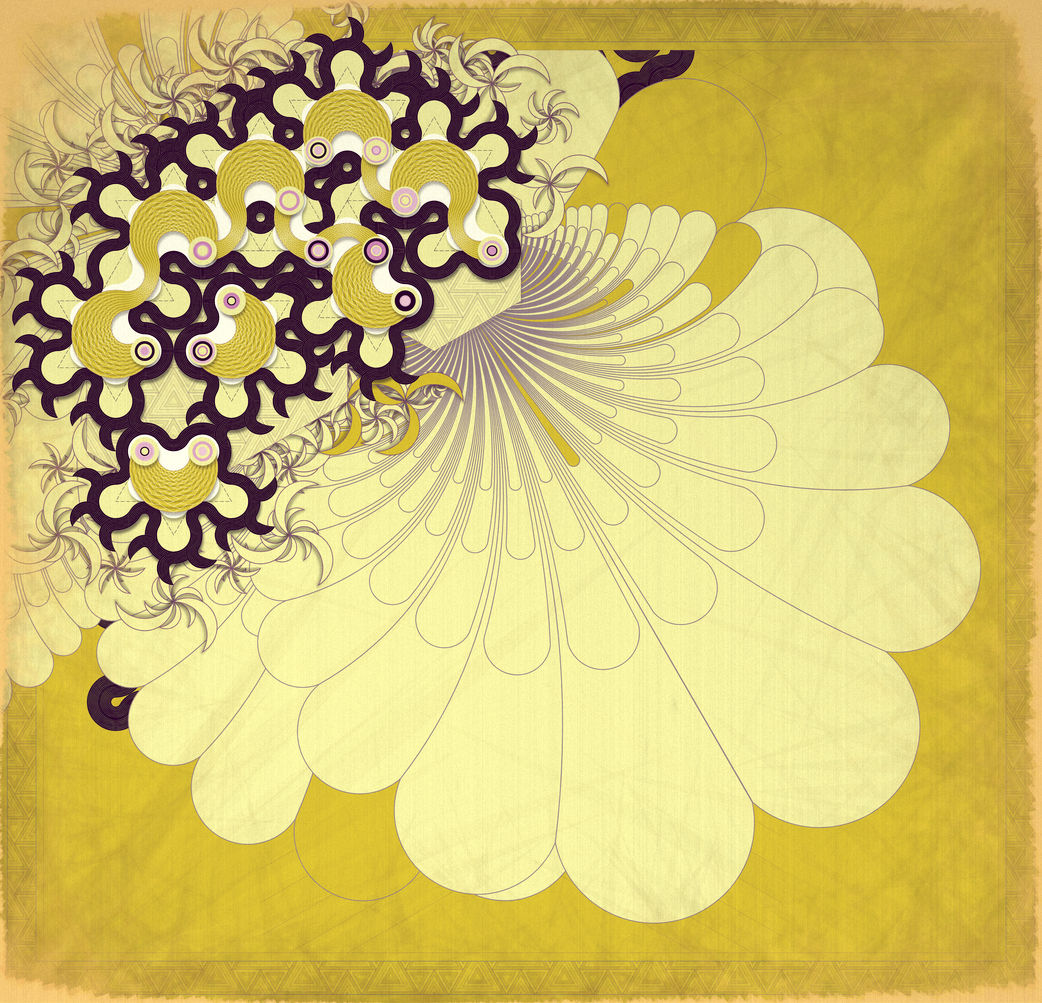 Quasi Dragon Studies #66