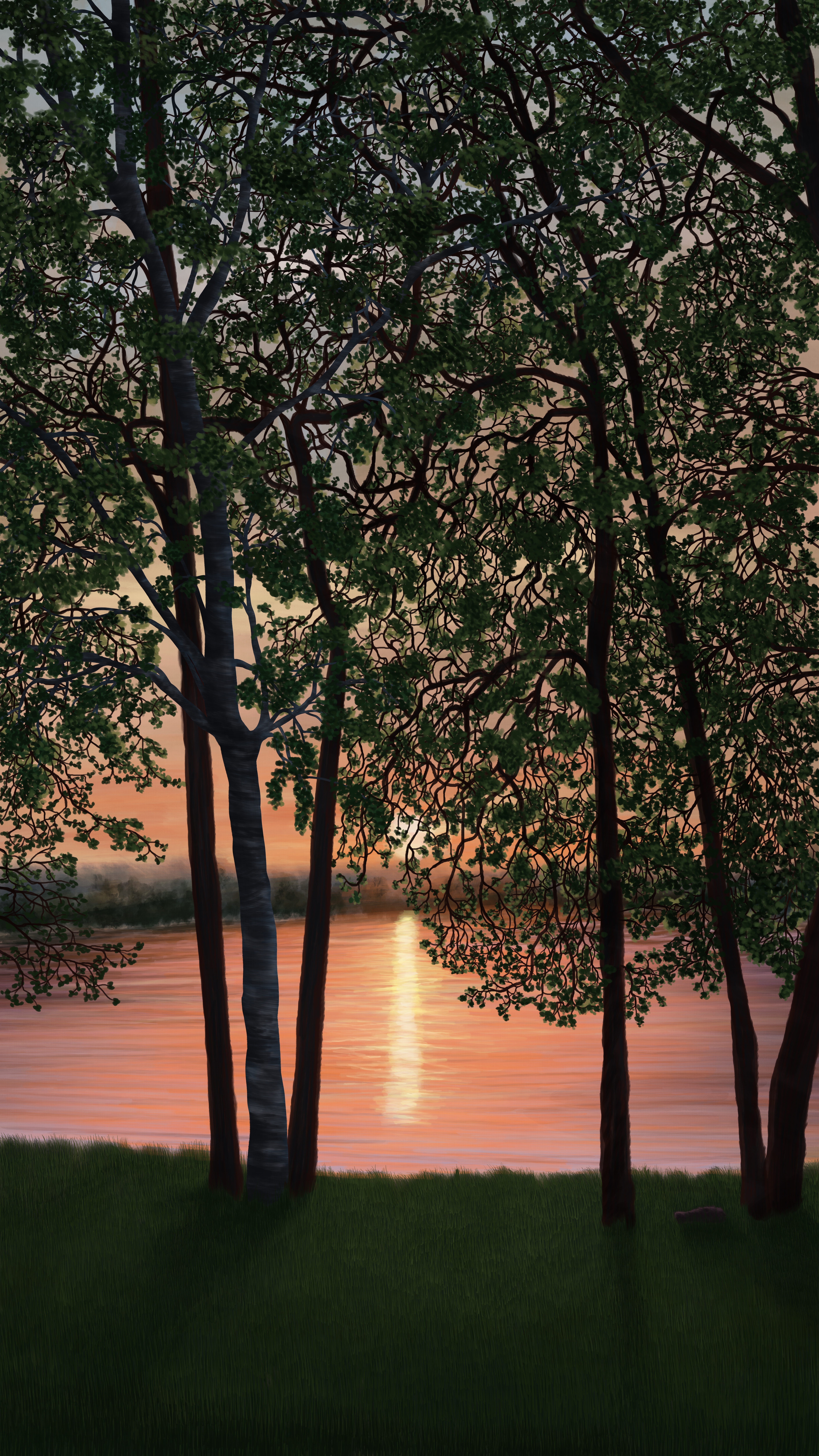 Life Impression 55