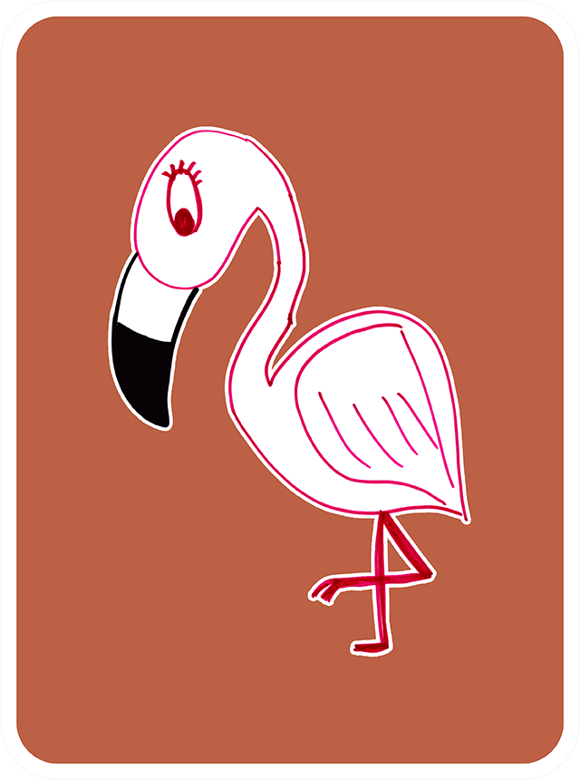 Forthright Flamingo