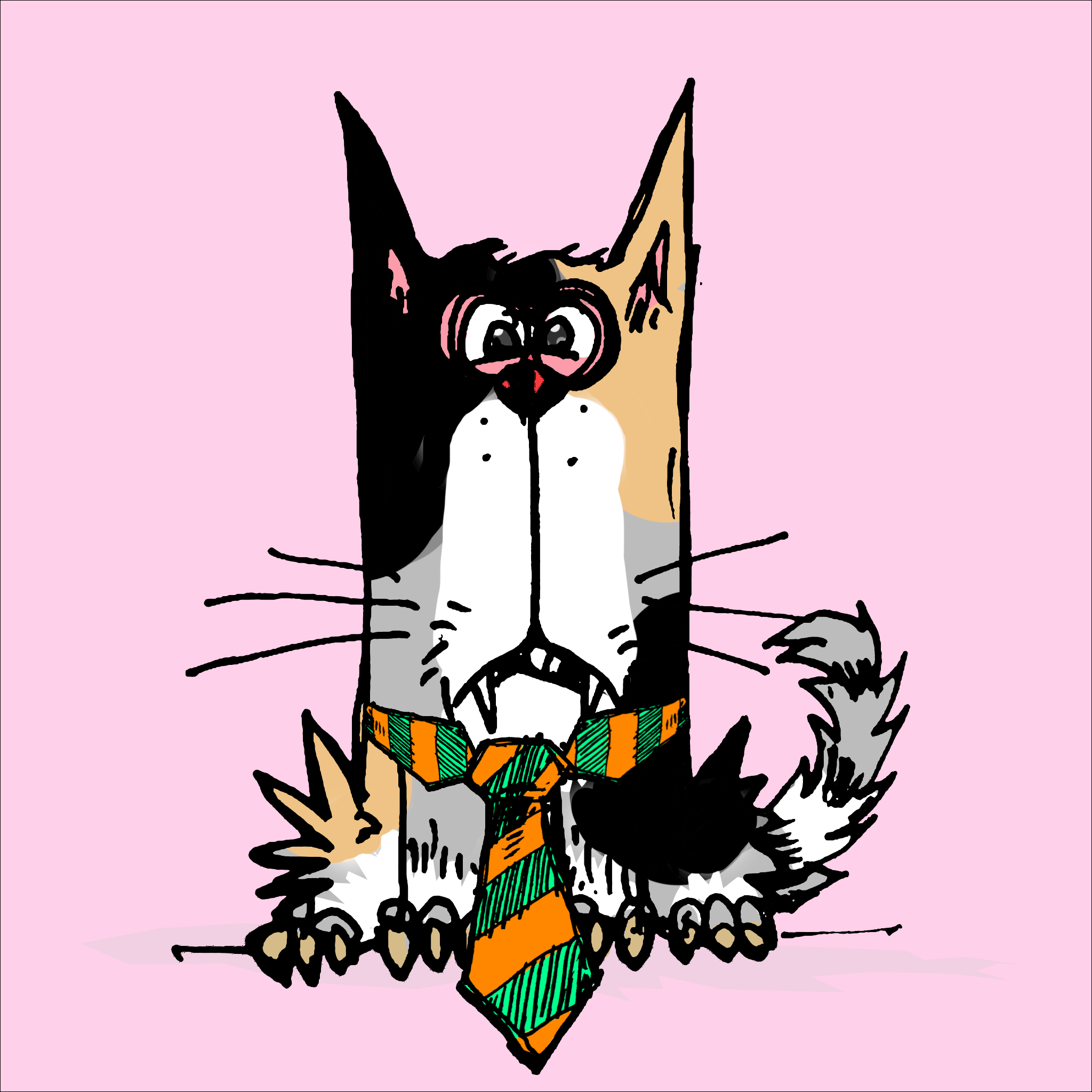 My Scruffy Cat 1034