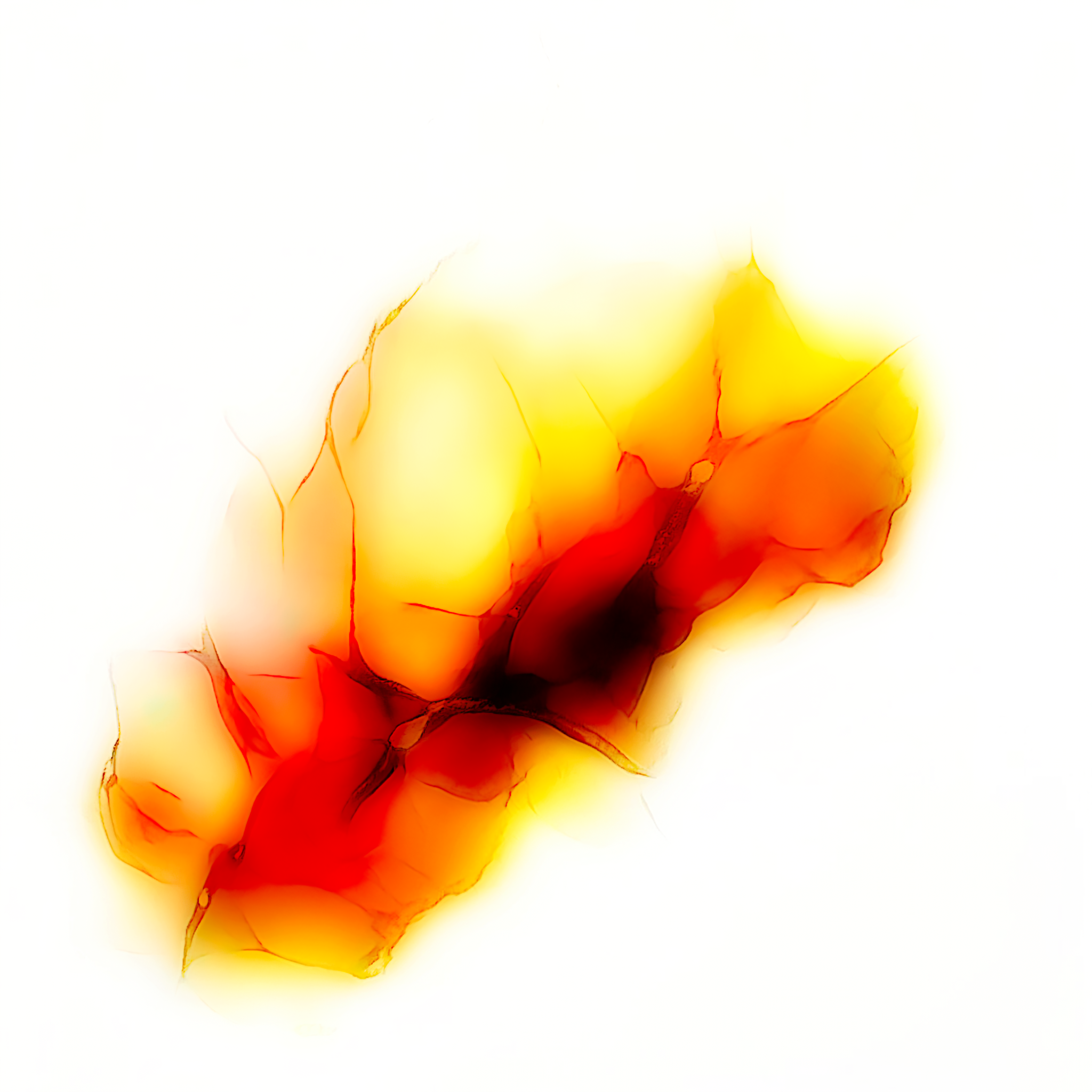Fissure 059