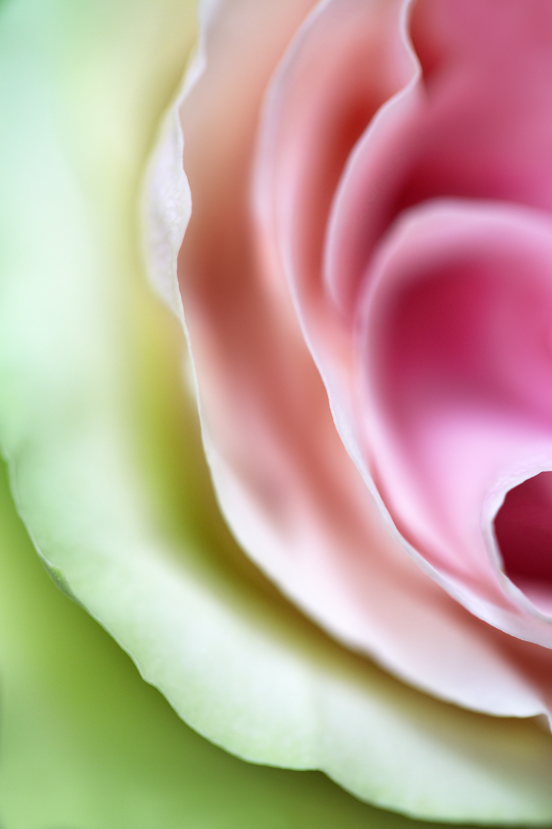 When I’m Reminded Of You