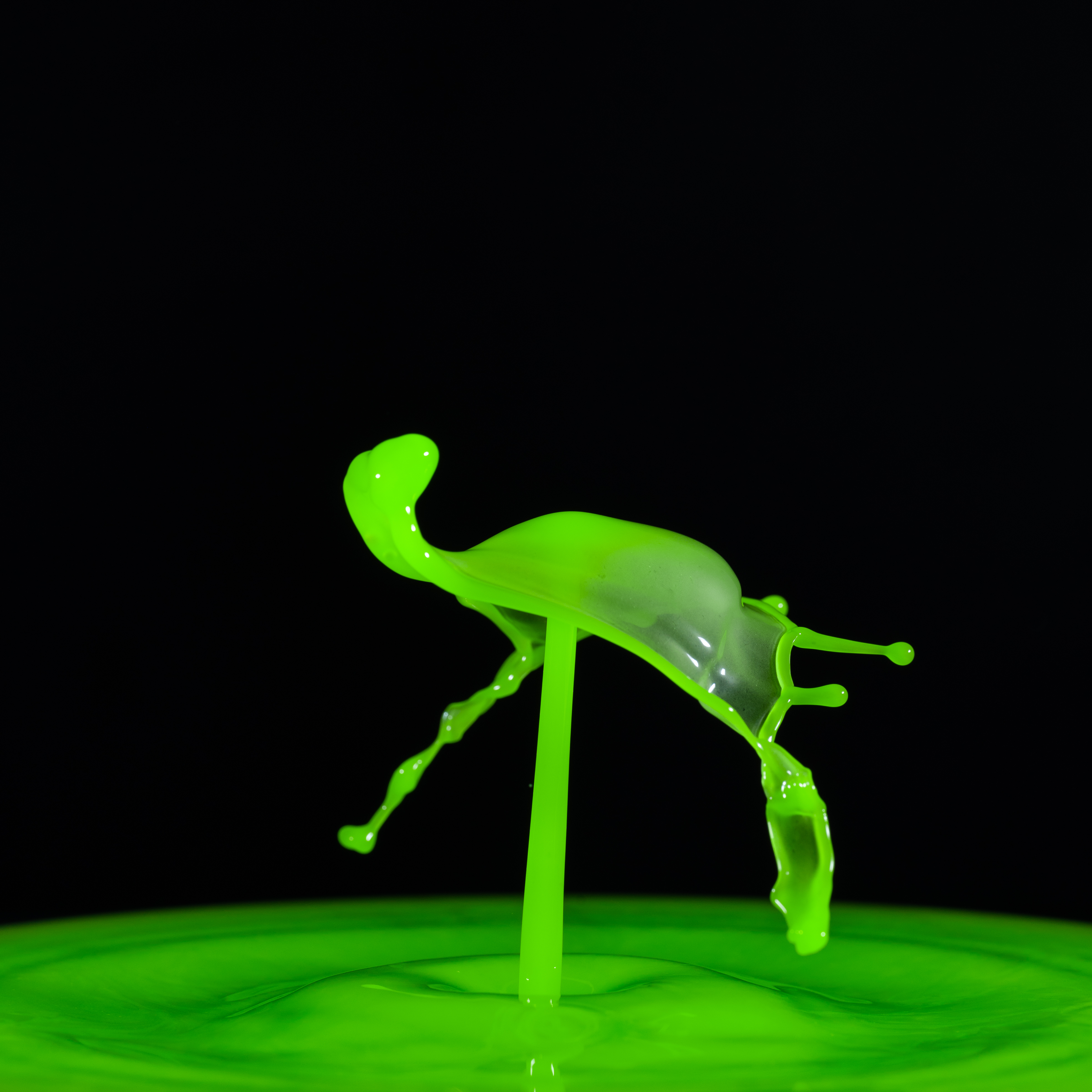 Splash of Green #6/12