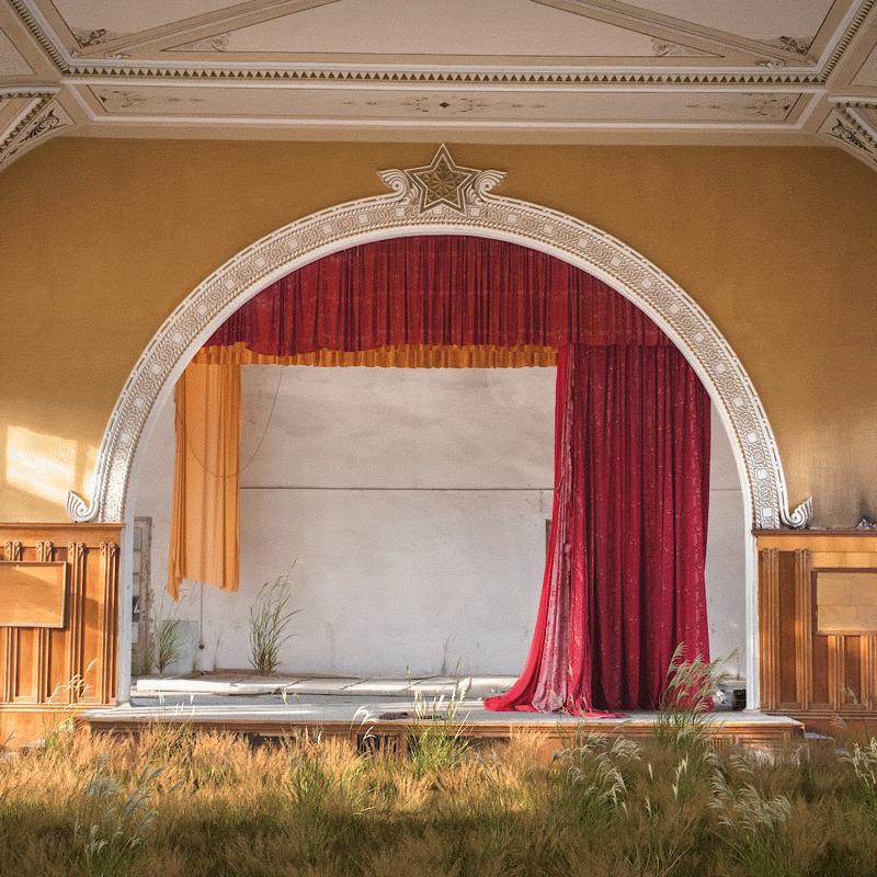 The Wild Within - 'Ambition'