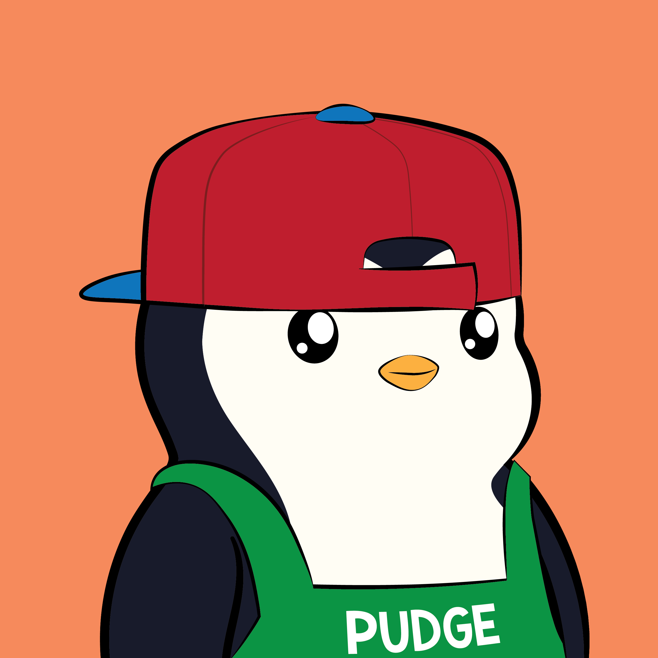 Pudgy #5258