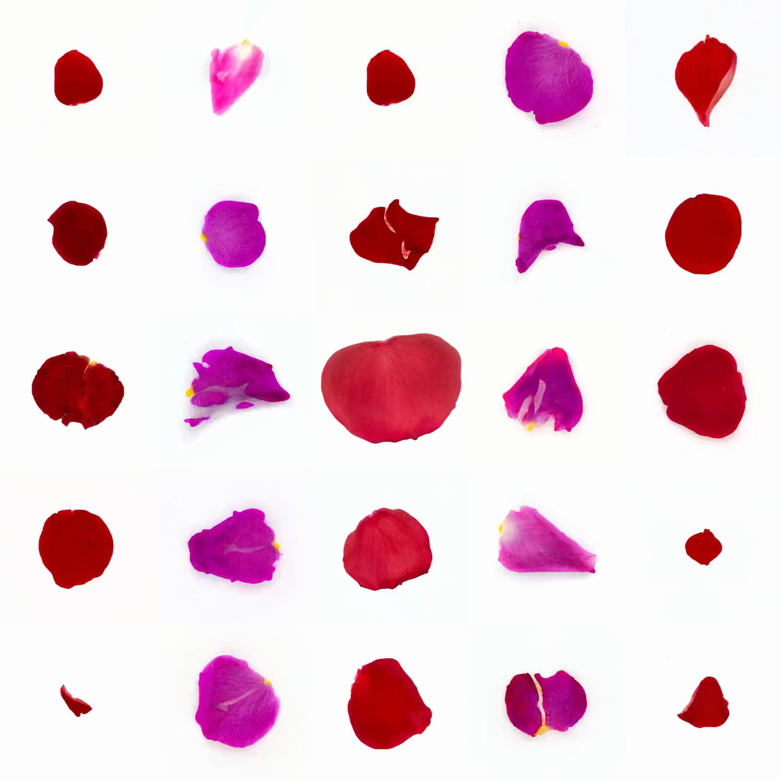 Infinite Petals 5x5#20466