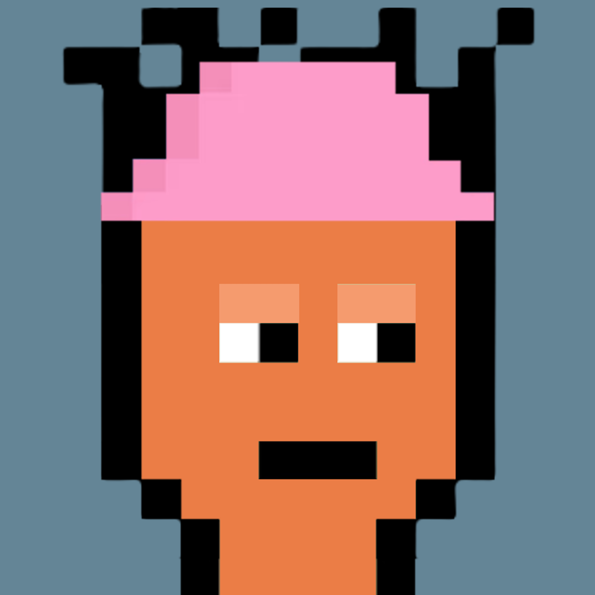 Nakamigo Punks #2016