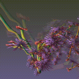 Neophyte MMXXII #109