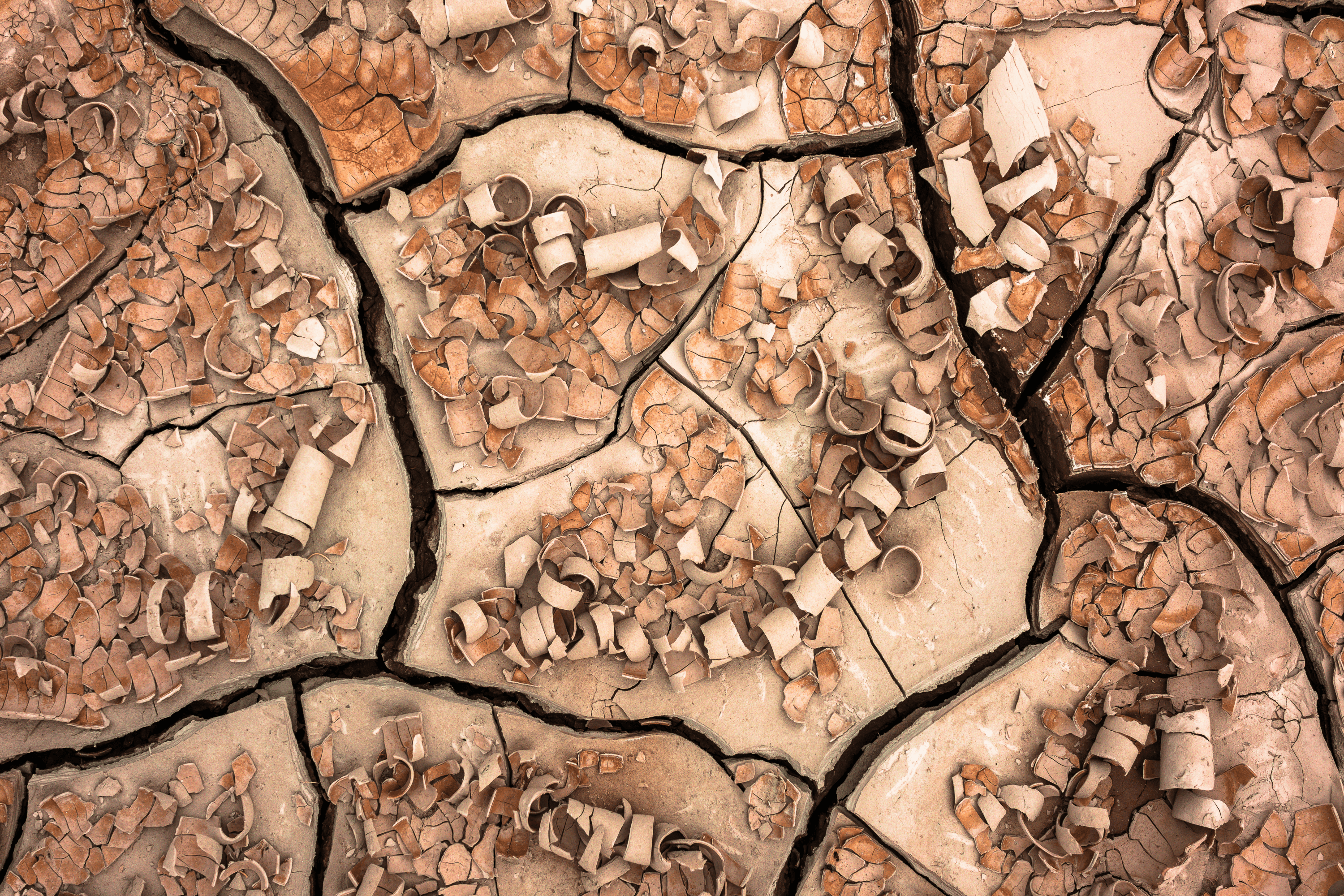 Expansion | Contraction #1