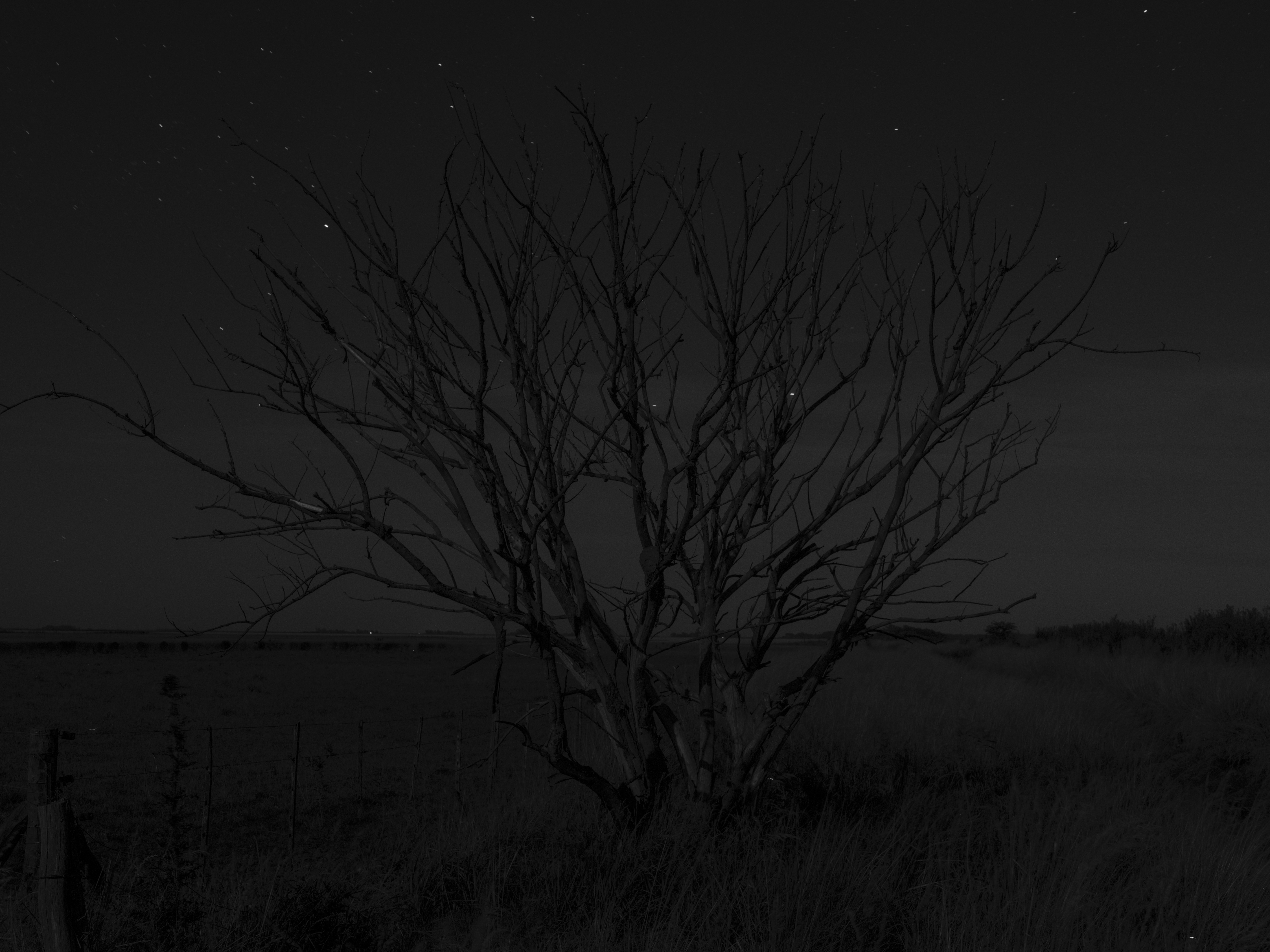 Aerolites #54 by Alessandra Sanguinetti