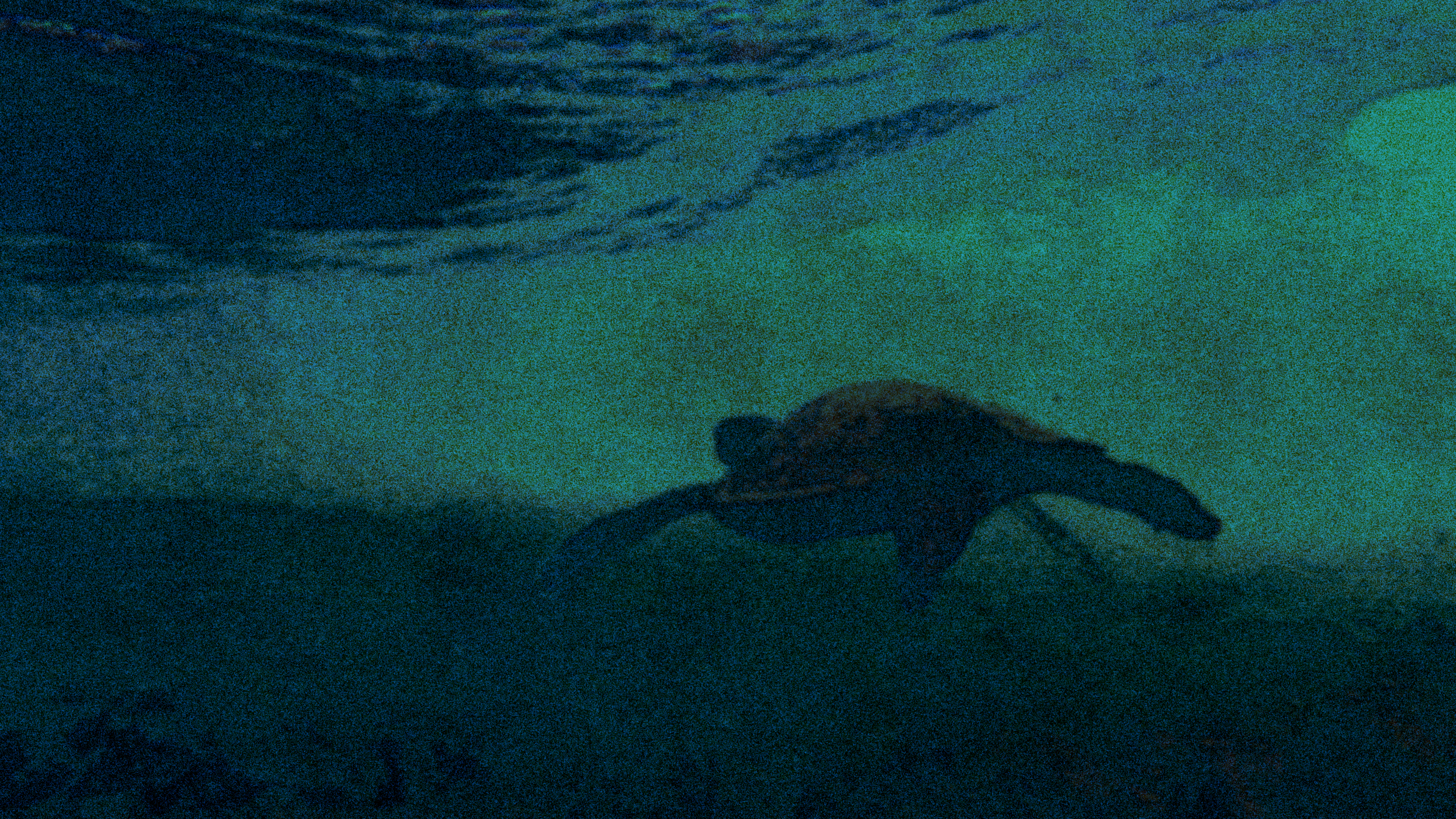 something just beyond reach