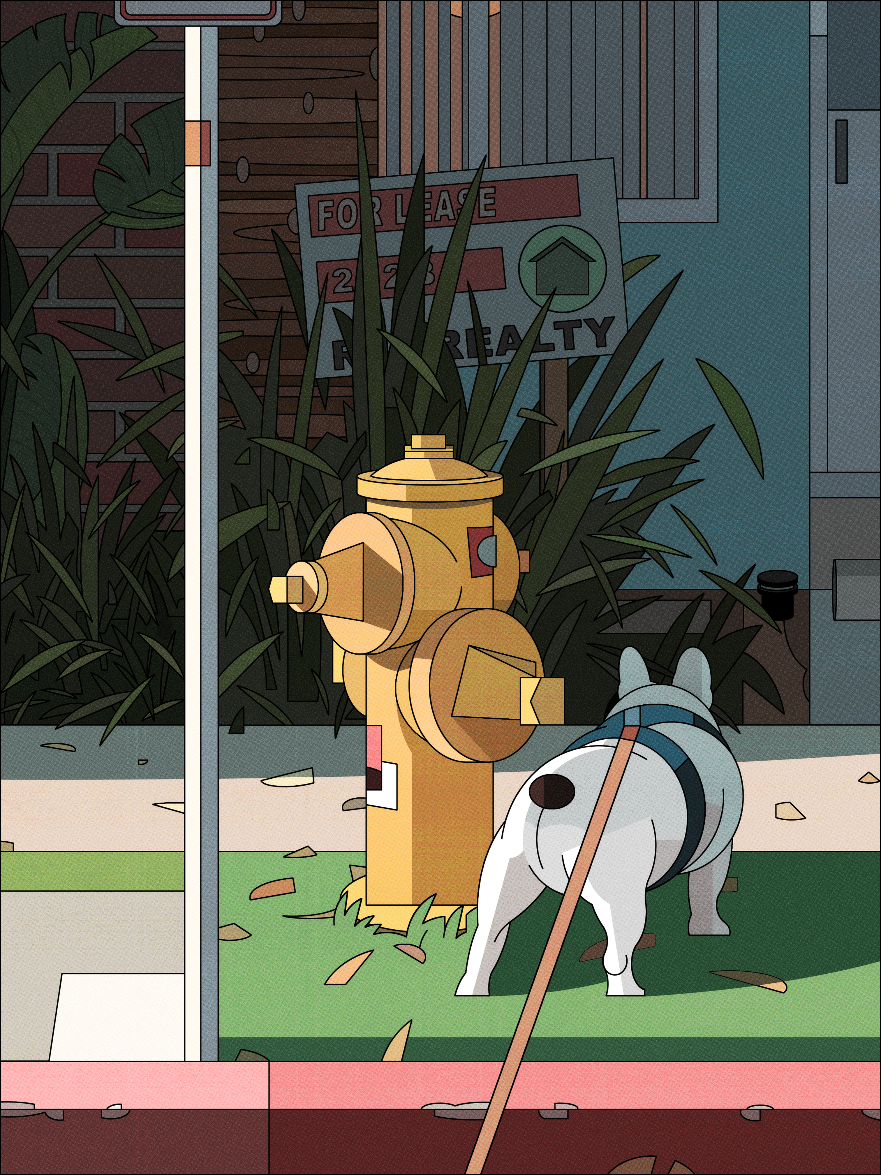 Morning Walk - Socmplxd