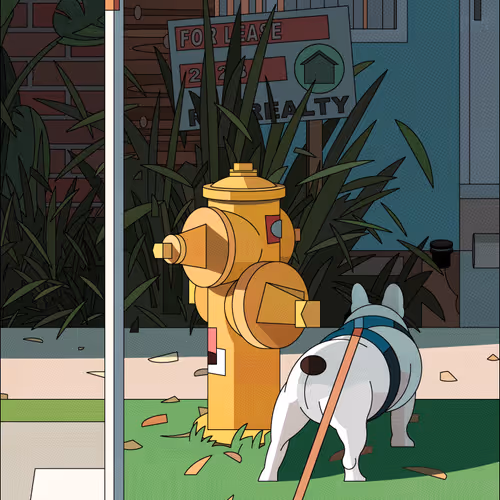 Morning Walk - Socmplxd